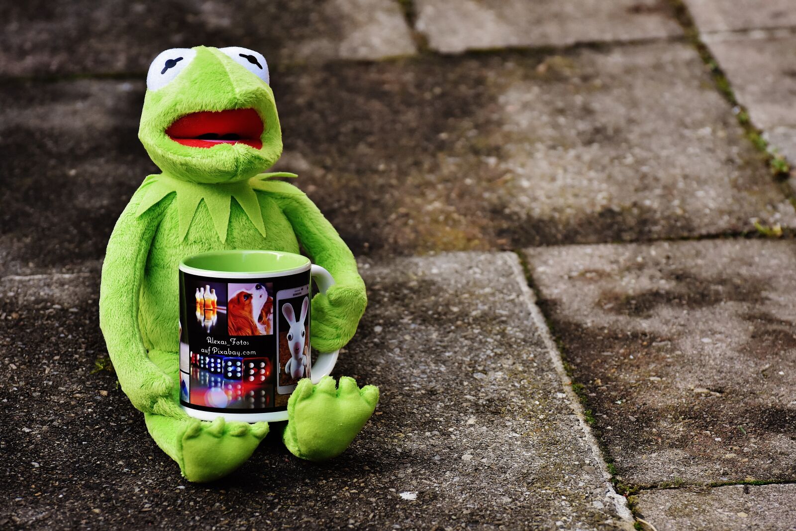 Nikon D7200 sample photo. Kermit, cup, drink coffee photography