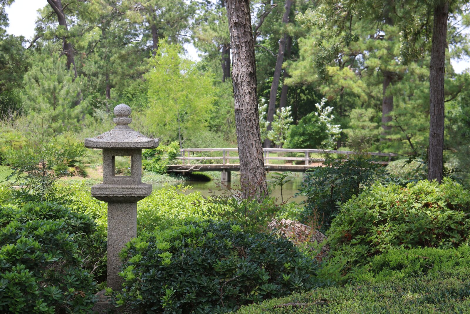 Canon EOS 750D (EOS Rebel T6i / EOS Kiss X8i) sample photo. Japanese, park, nature photography