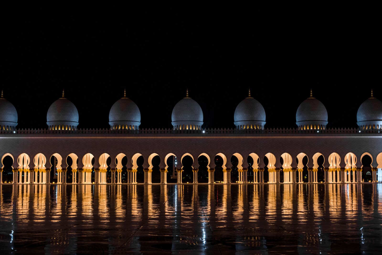Nikon D750 sample photo. Uae, abu dhabi, sheikh photography