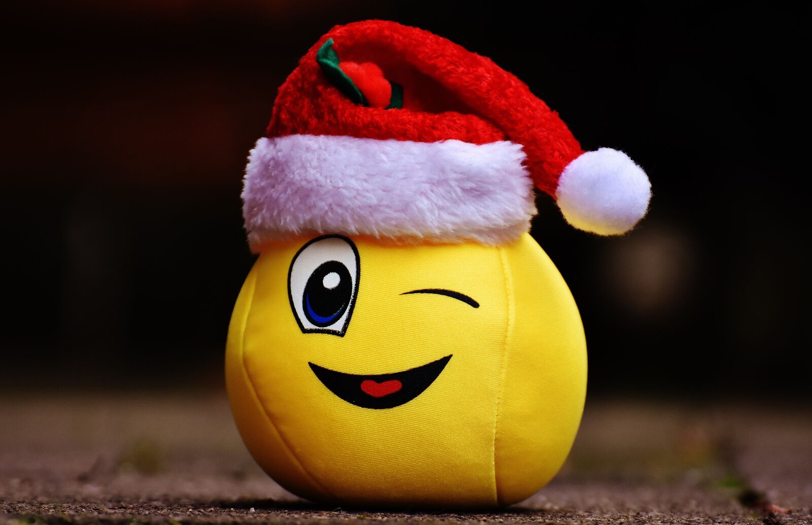 Nikon D7200 sample photo. Christmas, smiley, funny photography