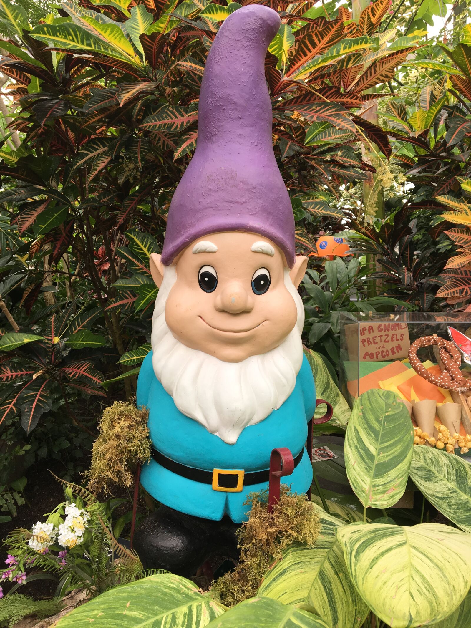 Apple iPhone 6s sample photo. Gnome, garden, lawn photography