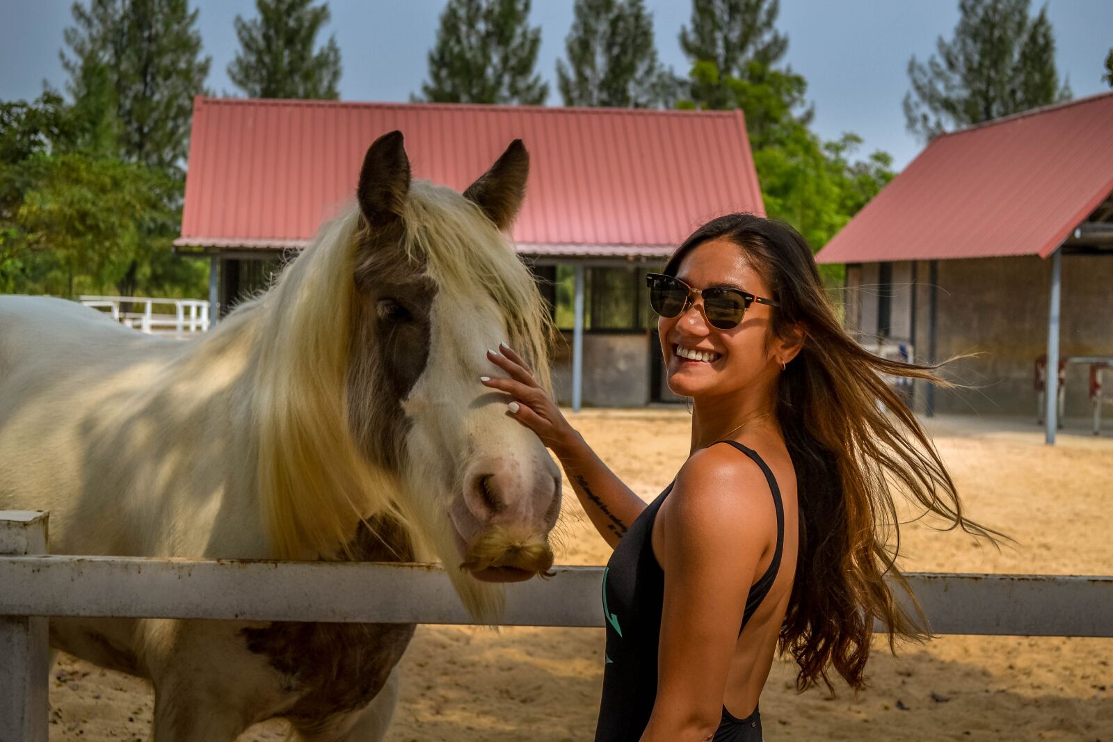 Nikon D3100 sample photo. Horse, country, animal photography