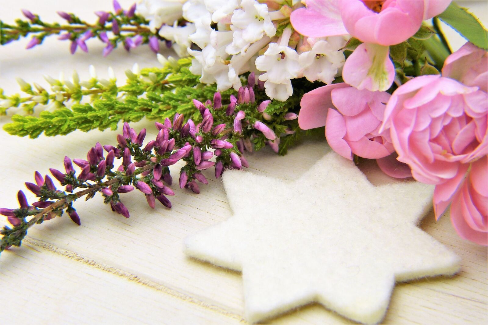 Panasonic Lumix DMC-FZ150 sample photo. Erika, winter heath, rose photography