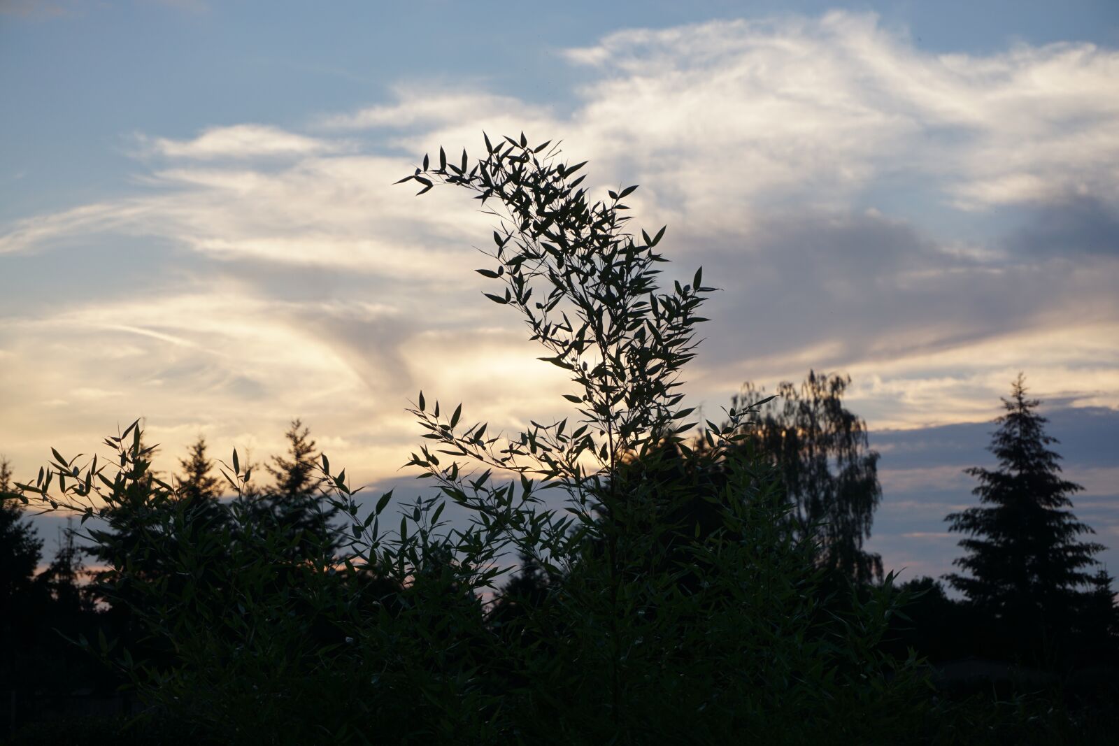 Sony a6000 sample photo. Evening, mood, twilight photography