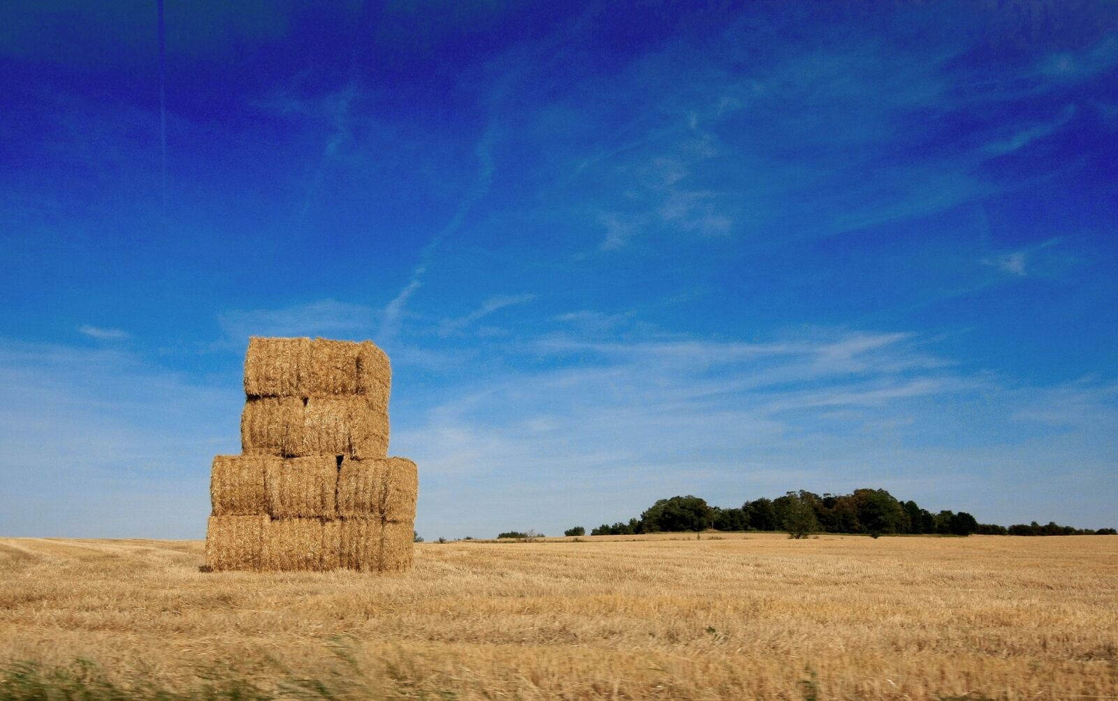 Canon EOS 40D sample photo. Cornfield, harvest, agriculture photography