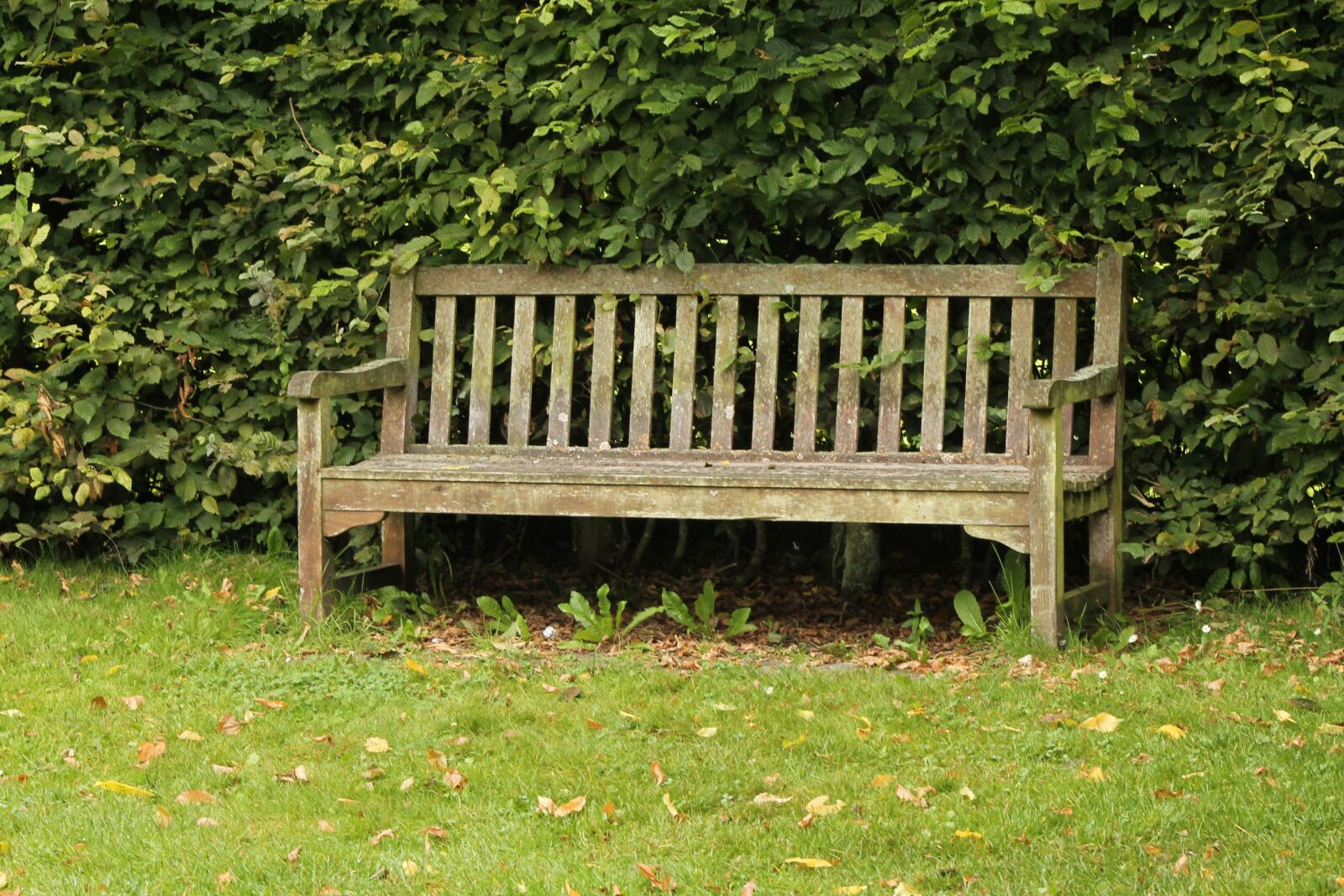 Canon EF 75-300mm f/4-5.6 sample photo. Bench, nature, outdoor photography