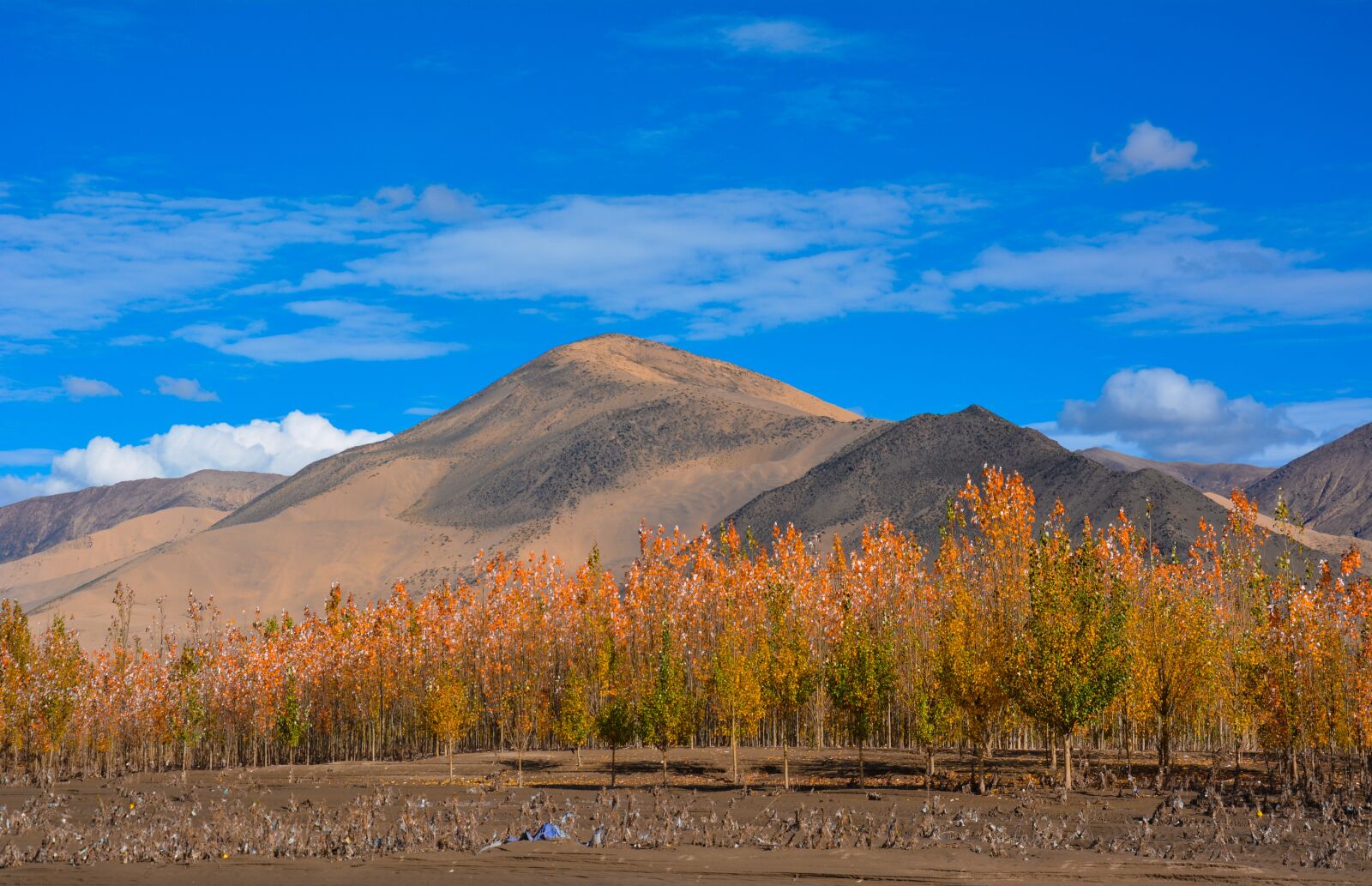 Nikon D5200 sample photo. Mountain, alpine, trees photography