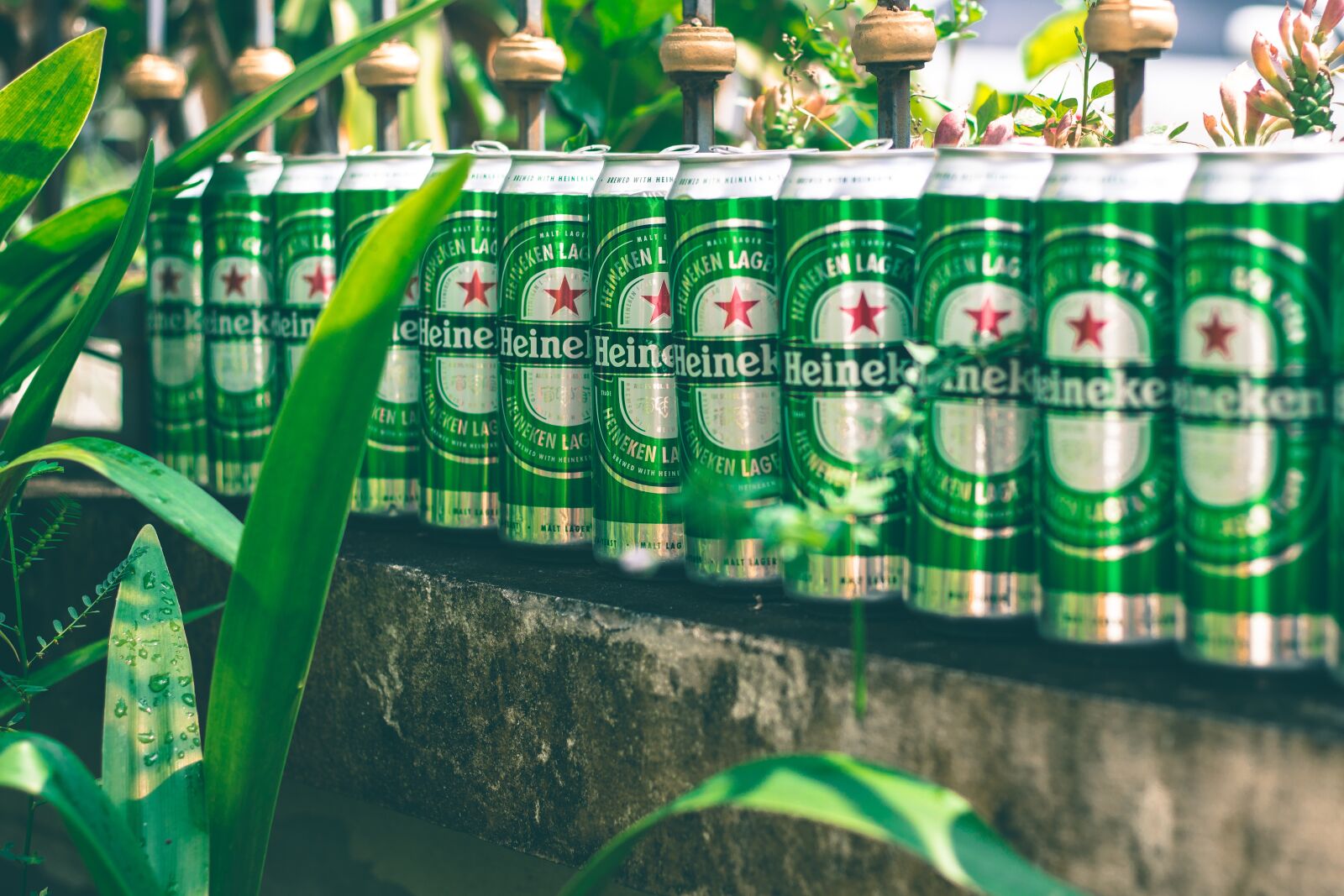 Canon EOS 700D (EOS Rebel T5i / EOS Kiss X7i) sample photo. Beverage, nature, water photography