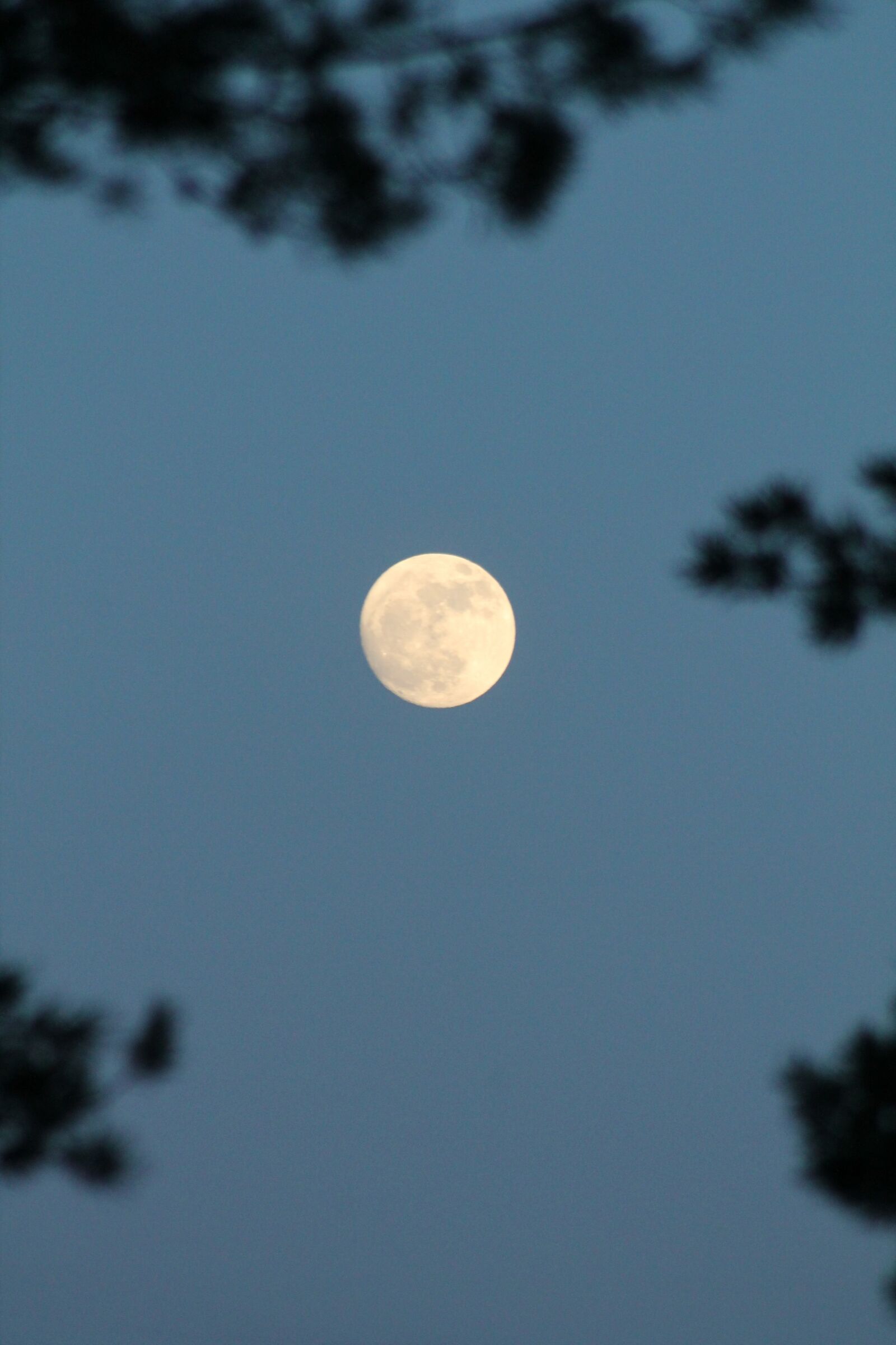 Canon EOS 1100D (EOS Rebel T3 / EOS Kiss X50) sample photo. Moon, shine, the moon's photography