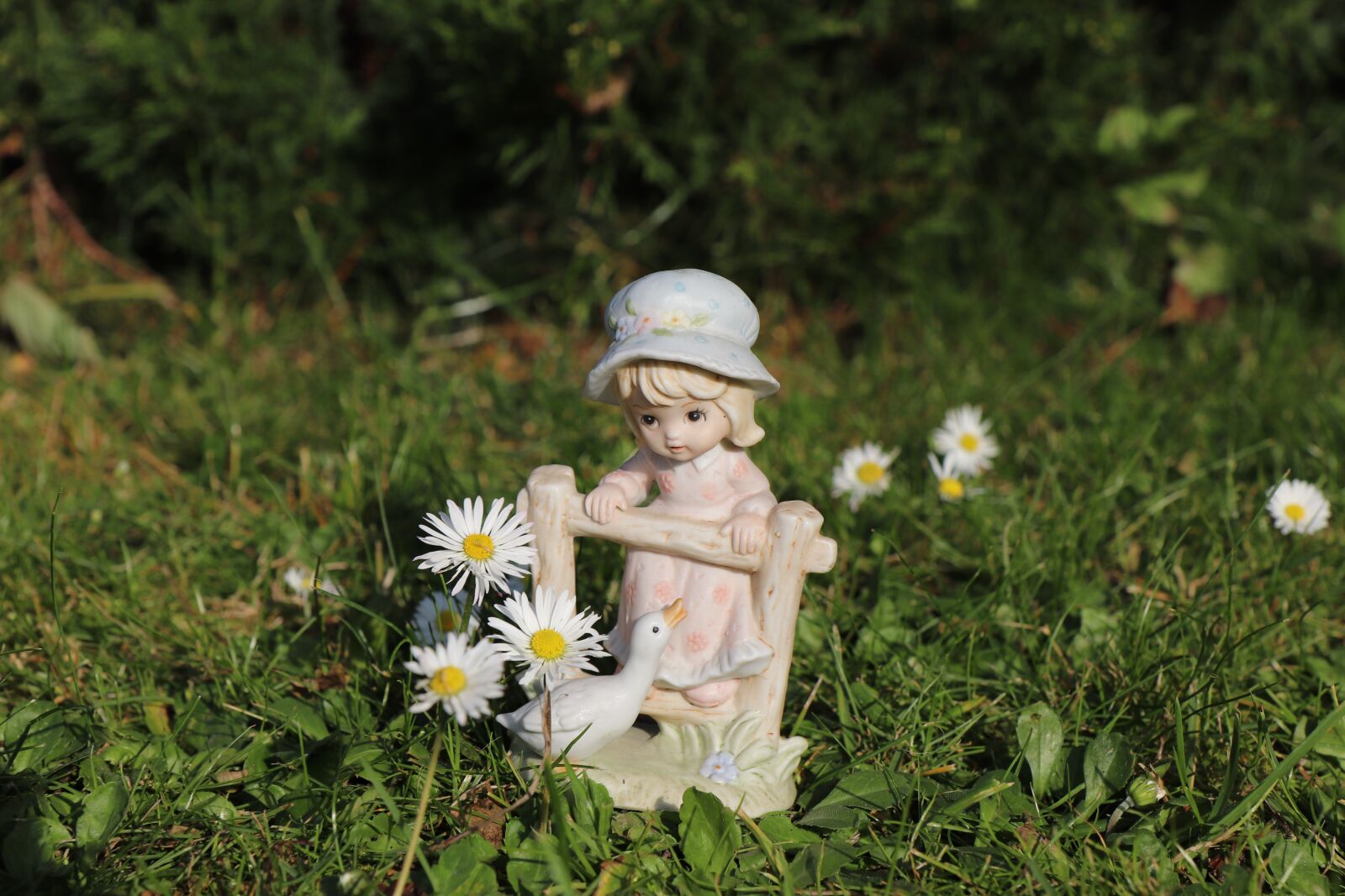 Canon EOS 800D (EOS Rebel T7i / EOS Kiss X9i) sample photo. Girl, child, fence photography