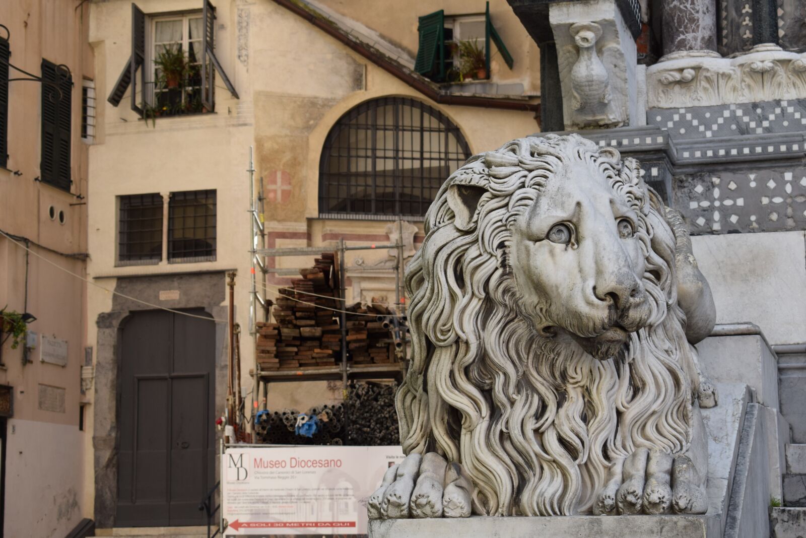 Nikon D3300 sample photo. Lion, sad, status photography