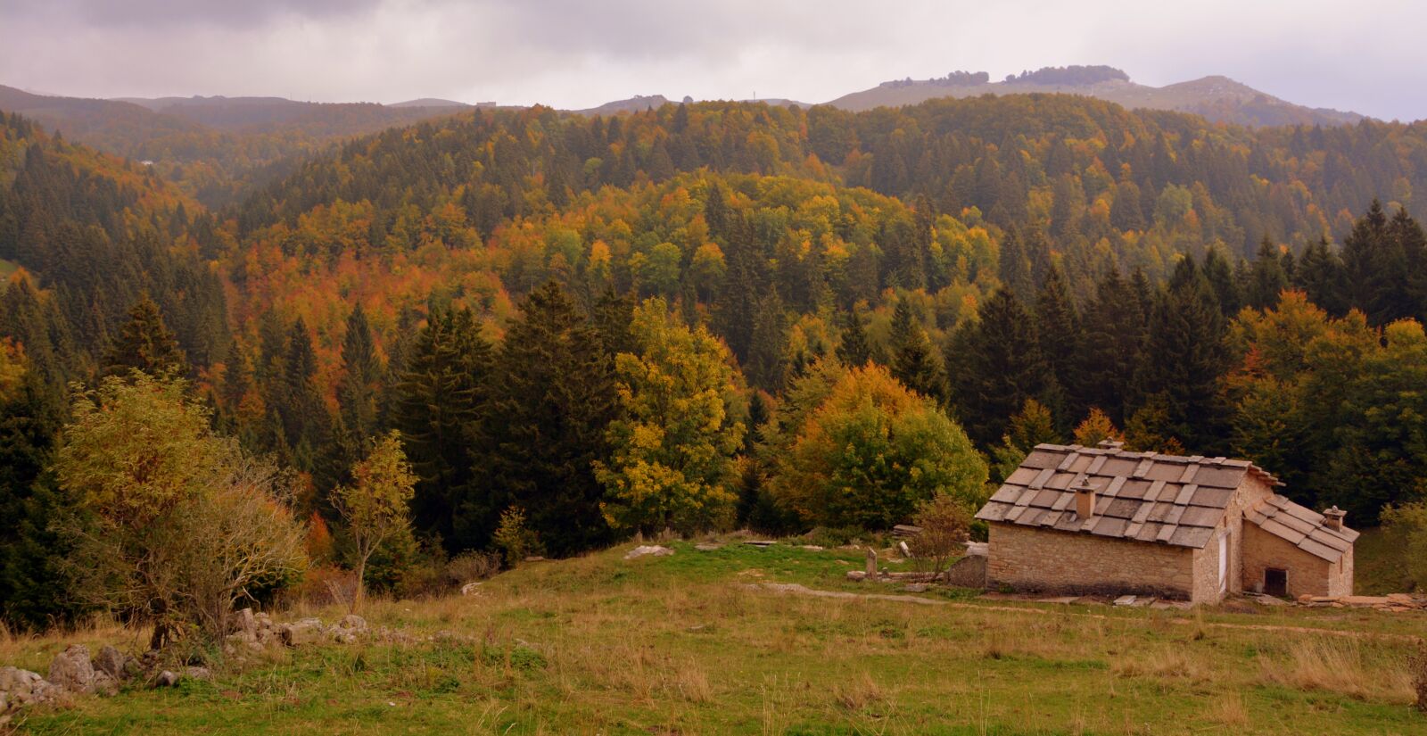 Nikon D7100 sample photo. Forest, autumn, alm photography