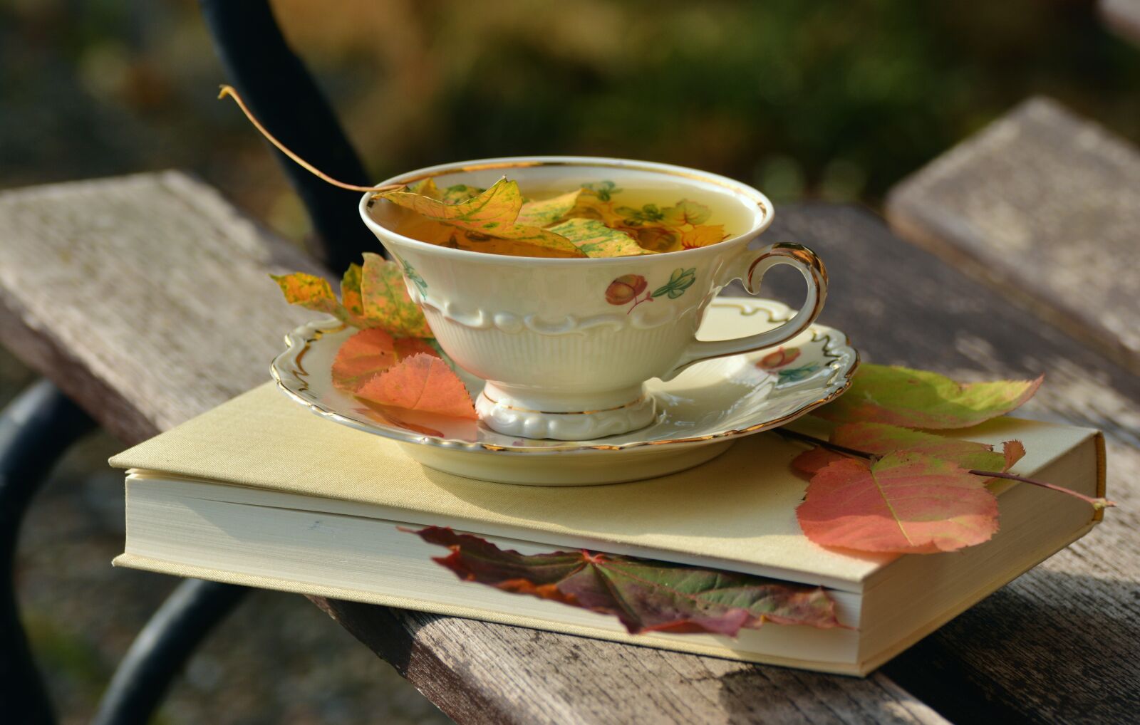 Nikon D5200 sample photo. Tee, teacup, autumn photography