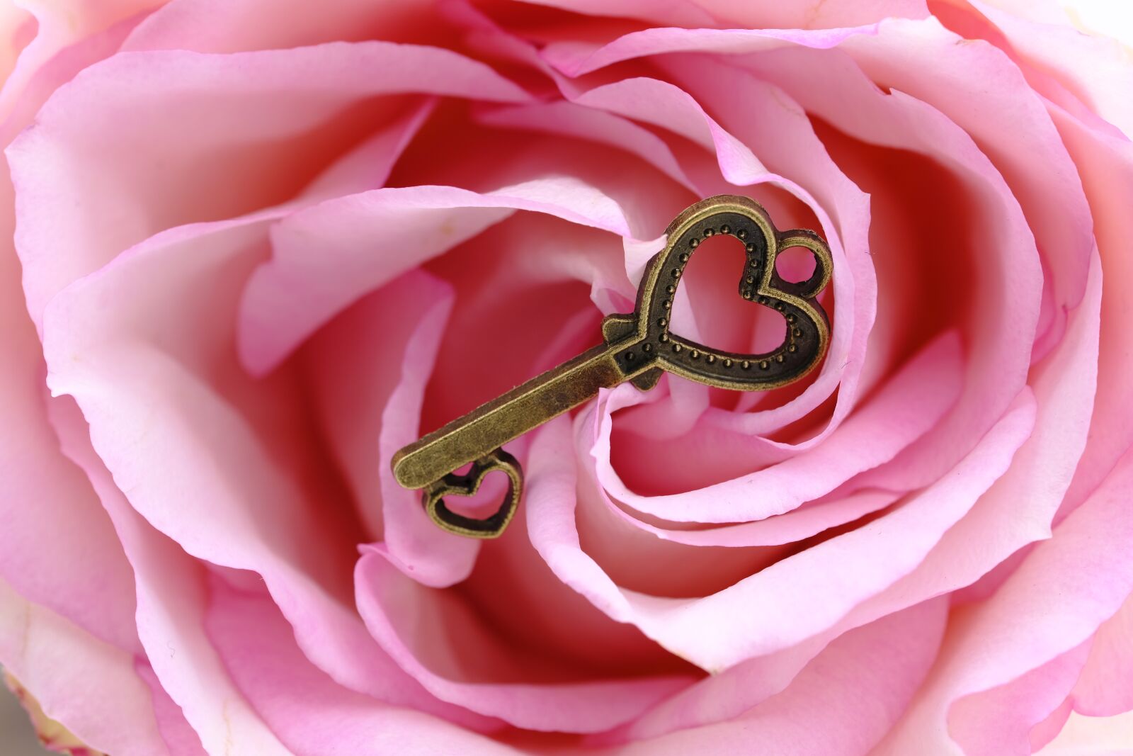 Fujifilm X-T2 + Fujifilm XF 80mm F2.8 R LM OIS WR Macro sample photo. Key, heart, love photography