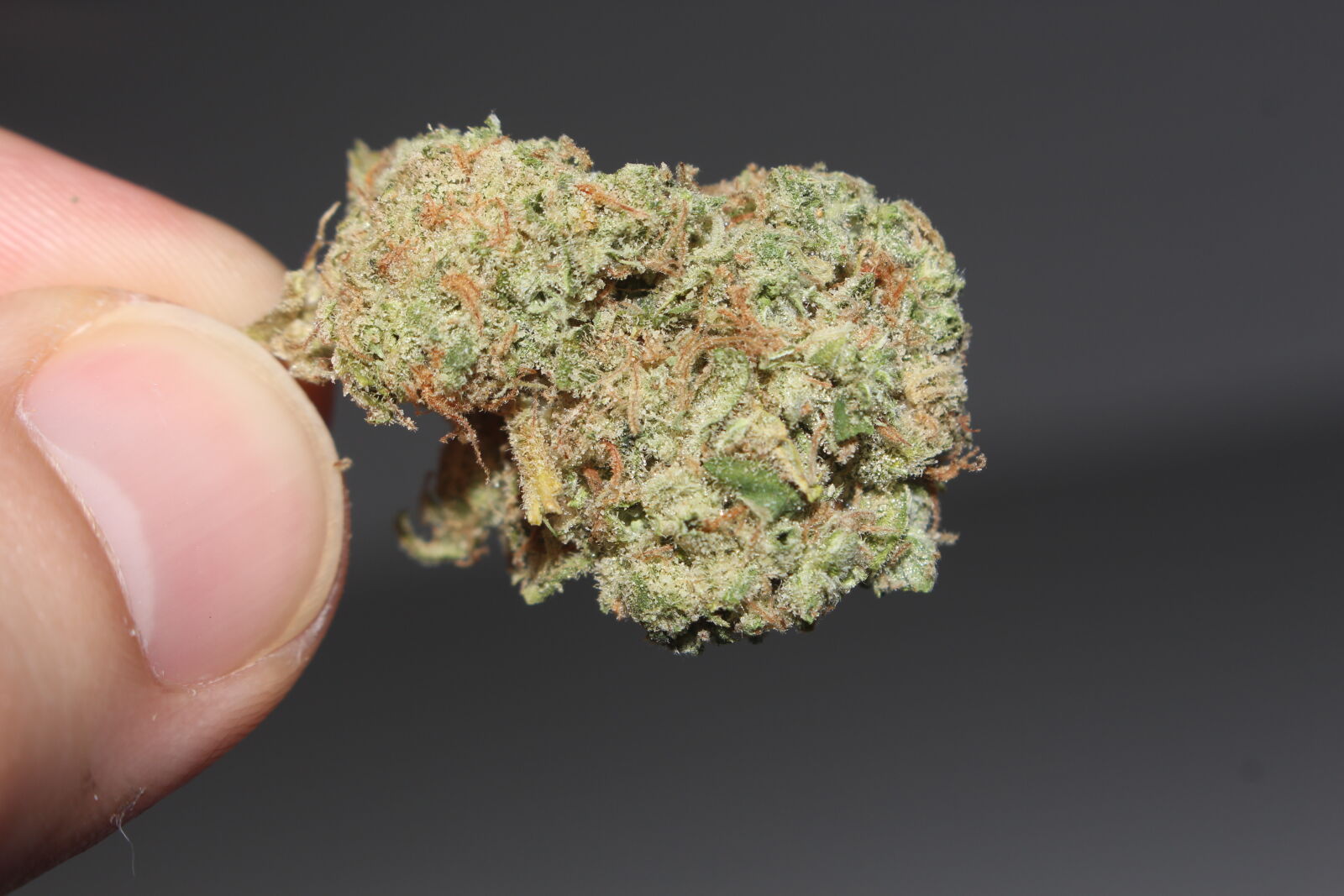 Canon EOS 700D (EOS Rebel T5i / EOS Kiss X7i) sample photo. 420, 710, buds, cannabis photography