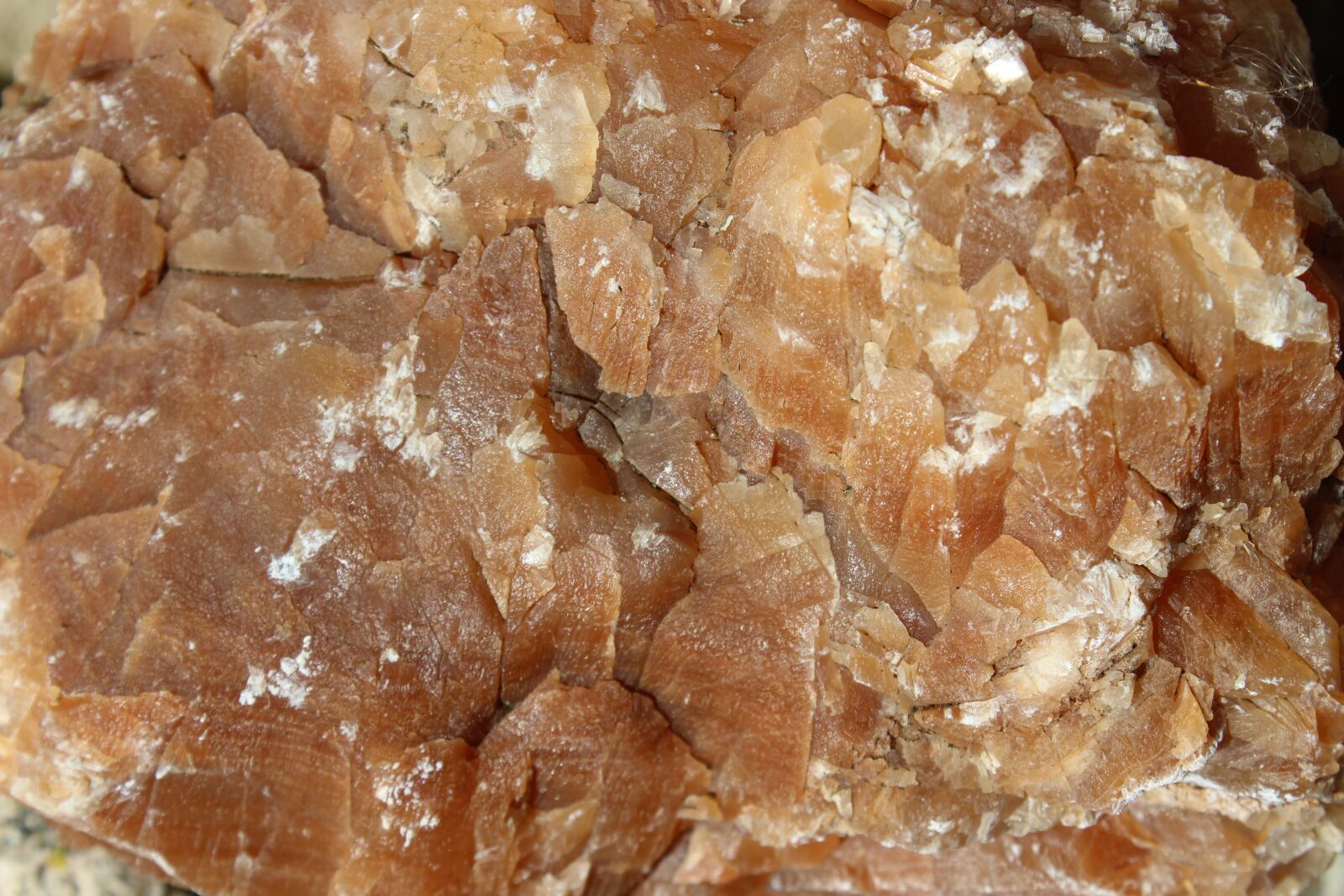 Canon EOS 600D (Rebel EOS T3i / EOS Kiss X5) sample photo. Rock, mineral, nature photography