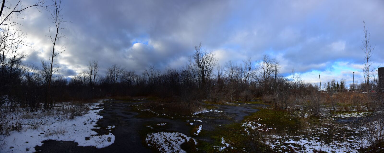 Nikon D7200 sample photo. Woods, forest, trees photography