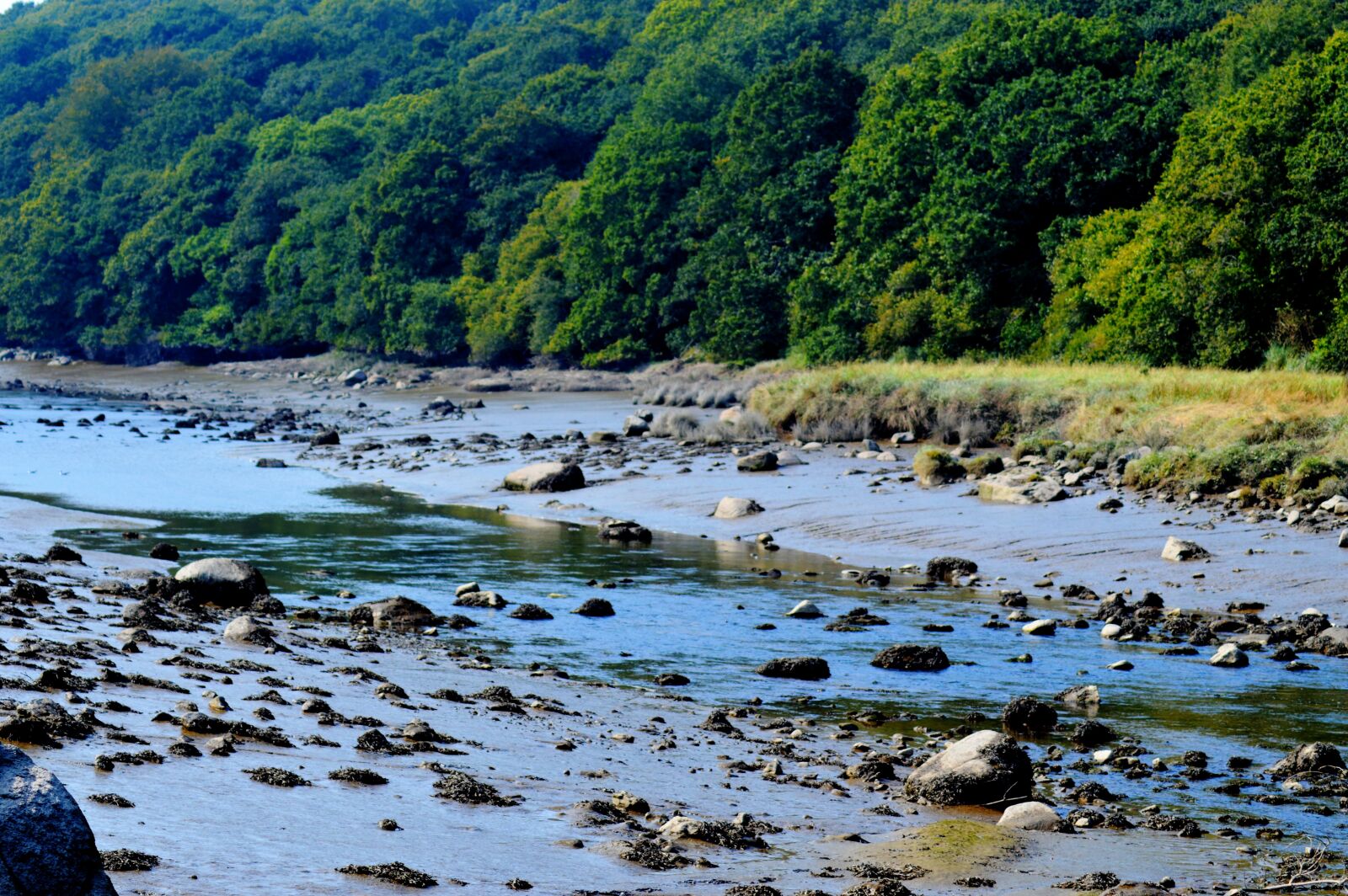 Nikon D3200 sample photo. River, pebbles, rock photography