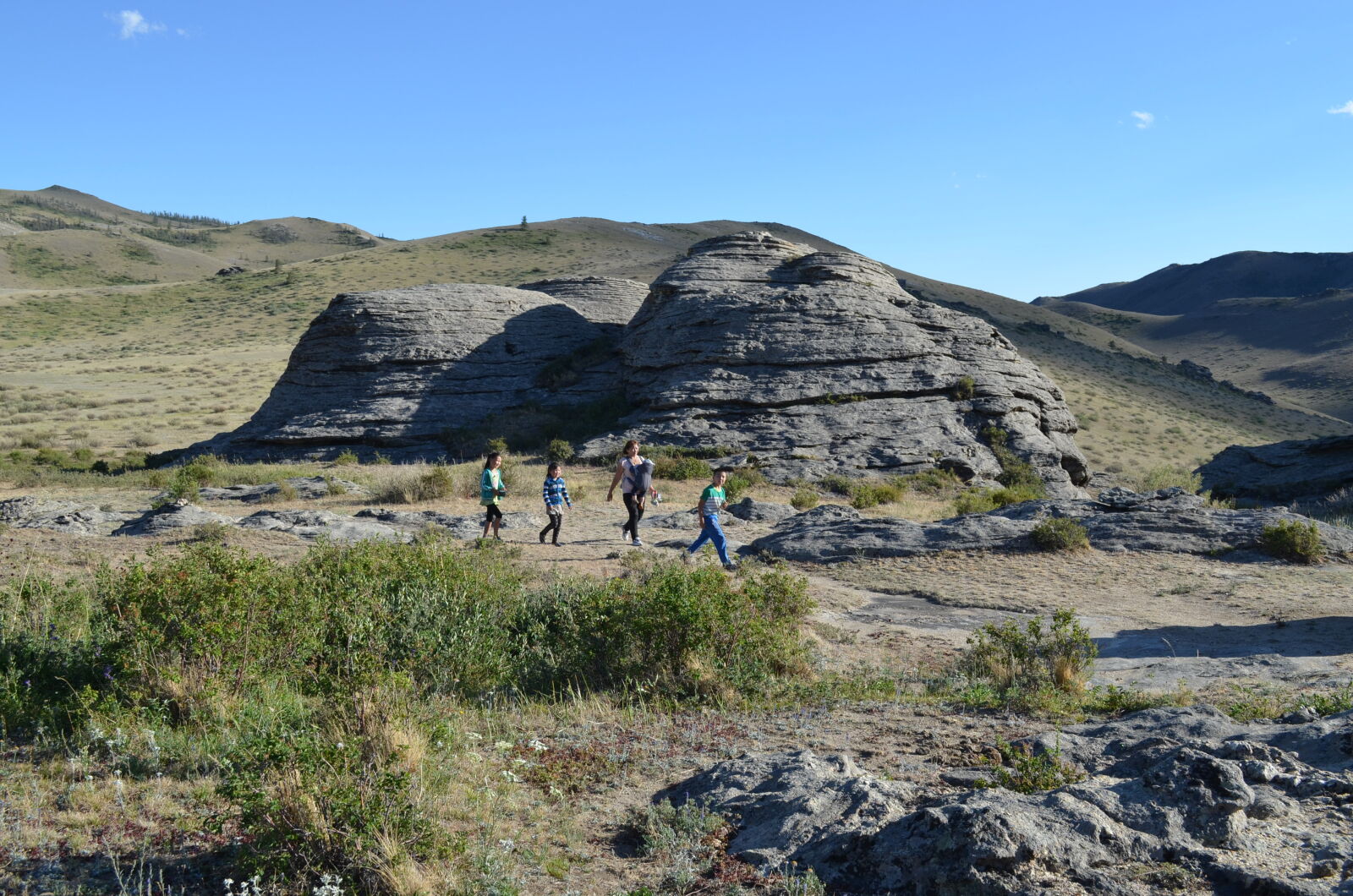 Nikon D5100 sample photo. Field, mongolia photography