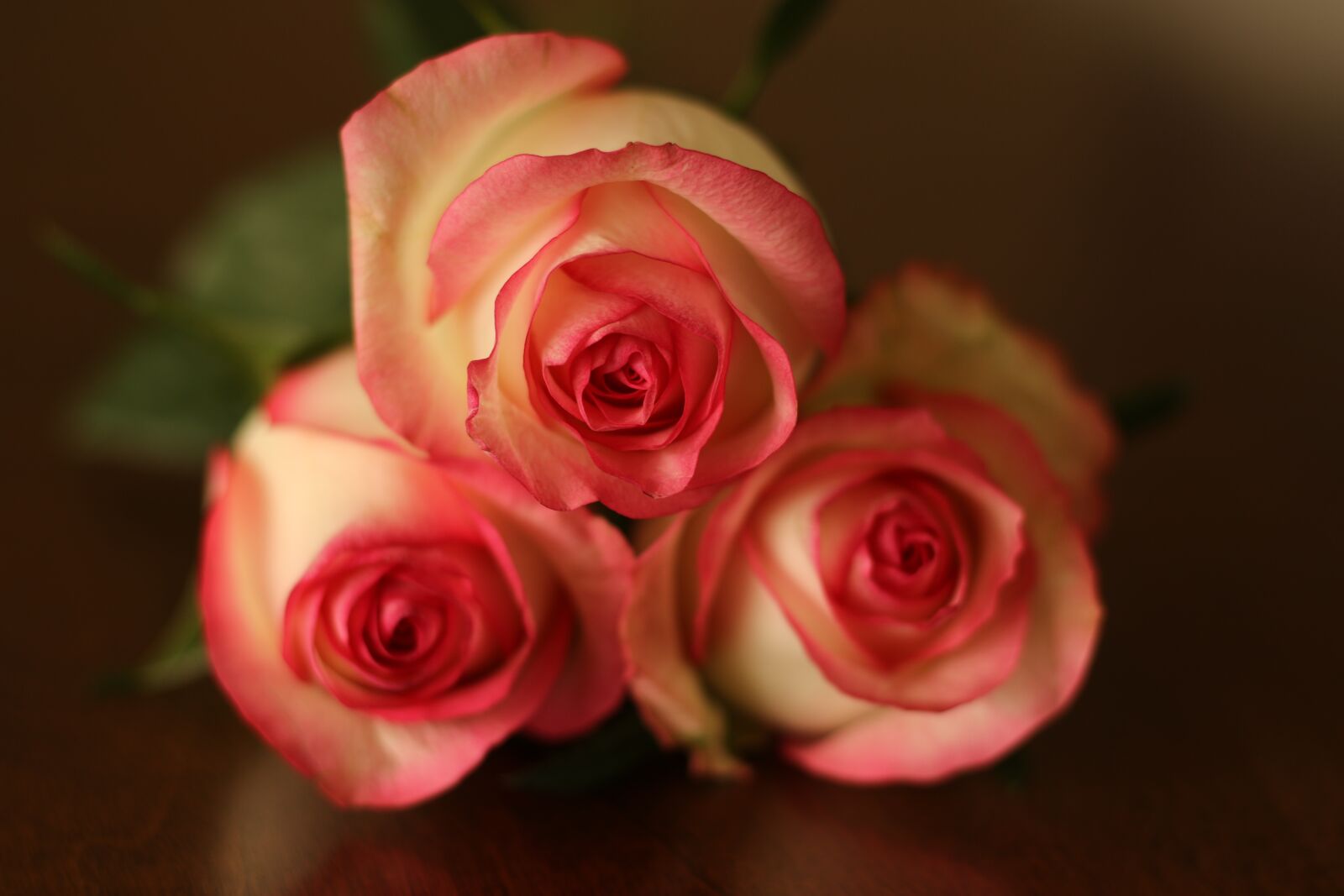 Canon EOS 7D Mark II sample photo. Roses, flowers, pink photography