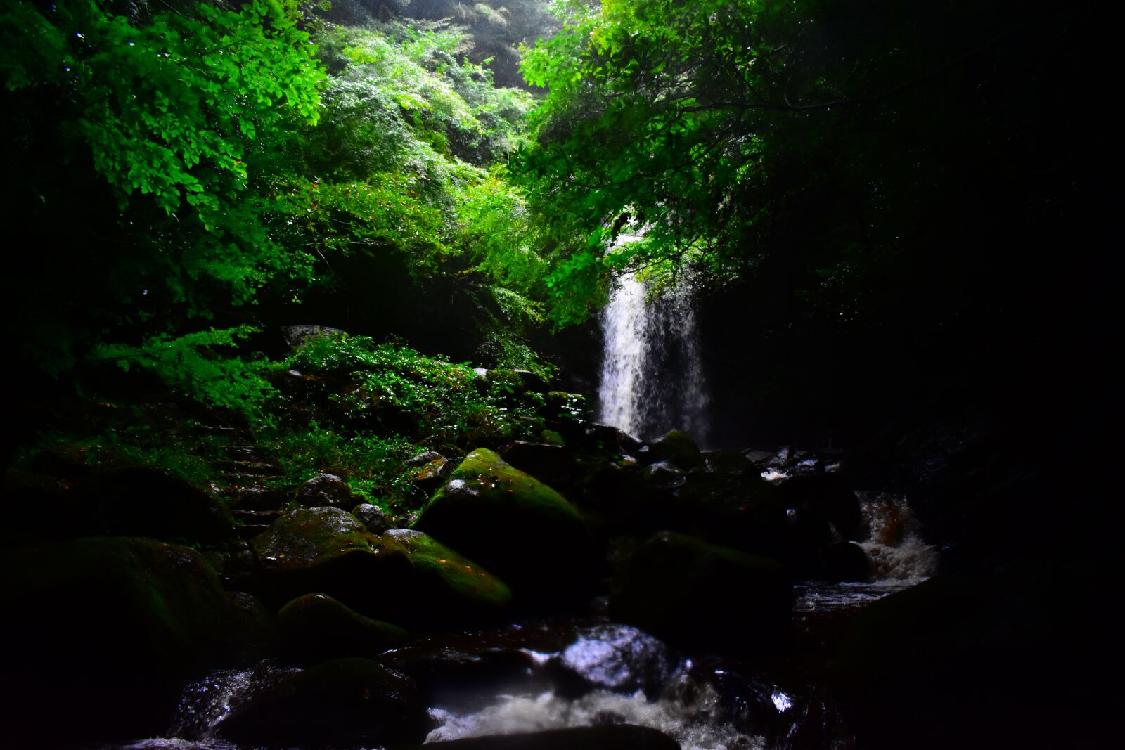 Nikon D3400 sample photo. Waterfall, nature, green photography