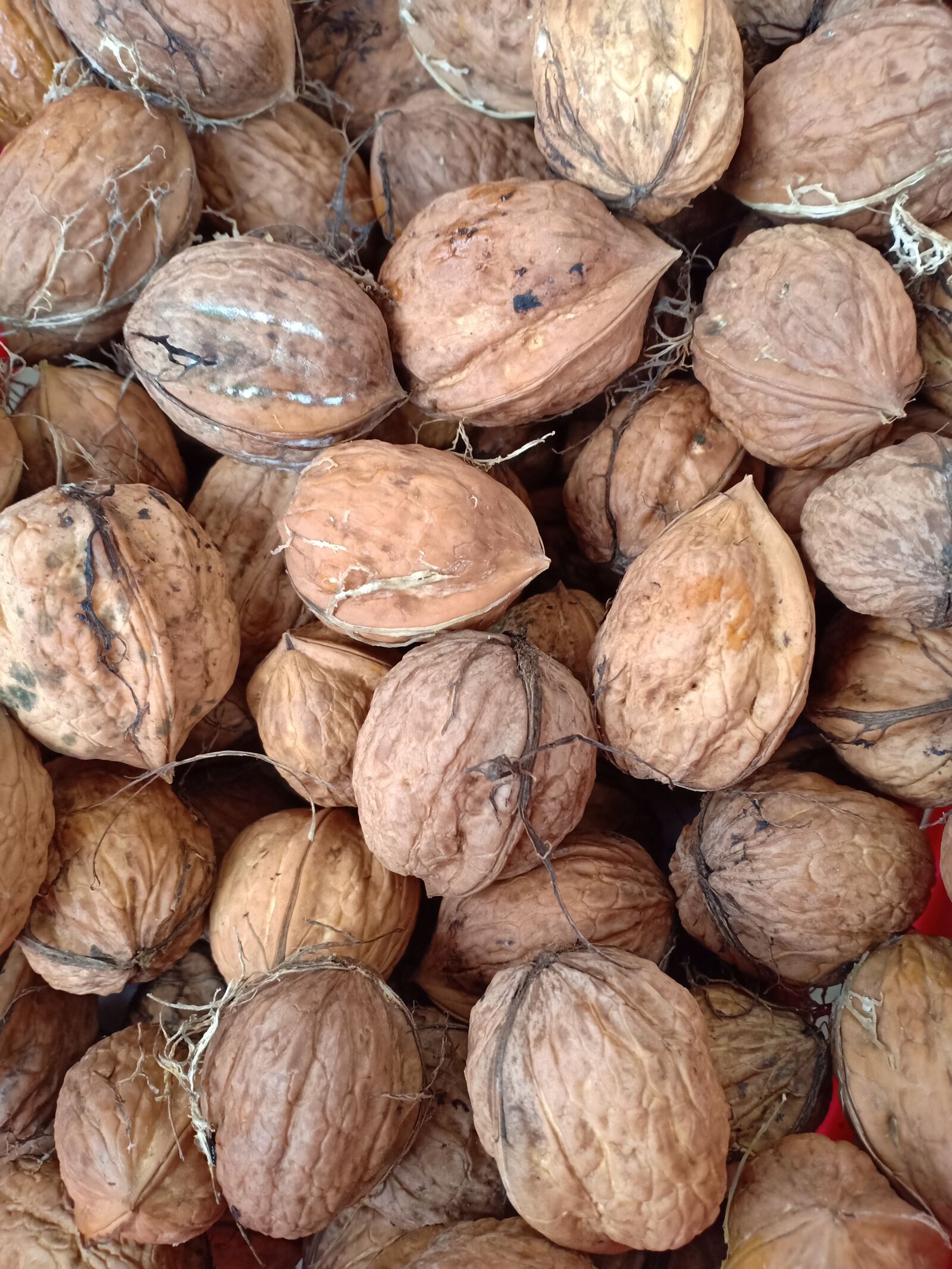 OPPO F7 sample photo. Walnut, fruit, nut photography