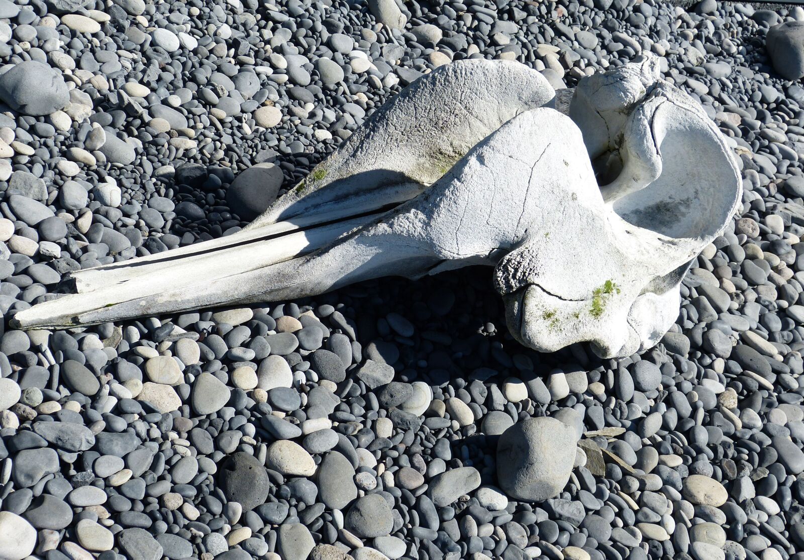 Panasonic Lumix DMC-FZ150 sample photo. Iceland, vik, south coast photography