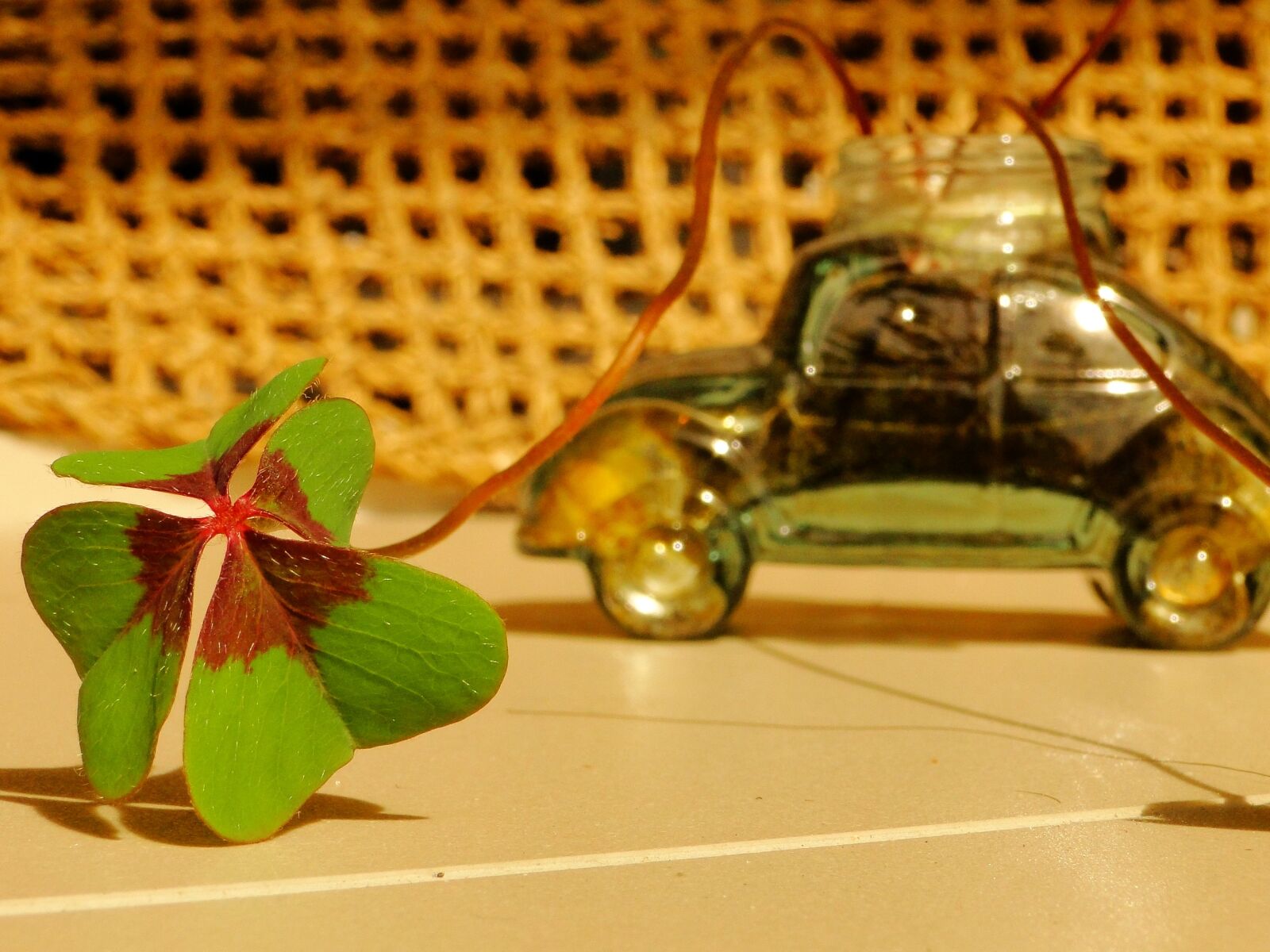Sony Cyber-shot DSC-HX1 sample photo. Clover, luck, fusca photography