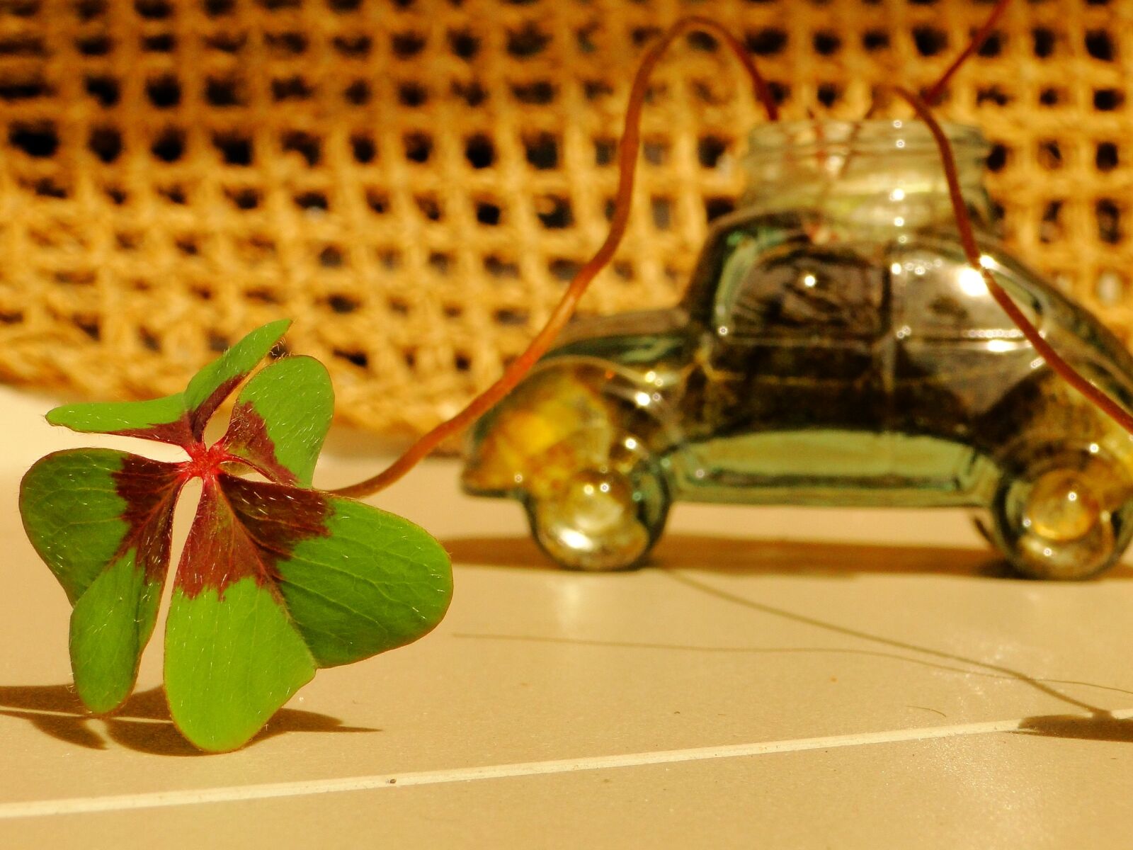 Sony Cyber-shot DSC-HX1 sample photo. Clover, luck, fusca photography