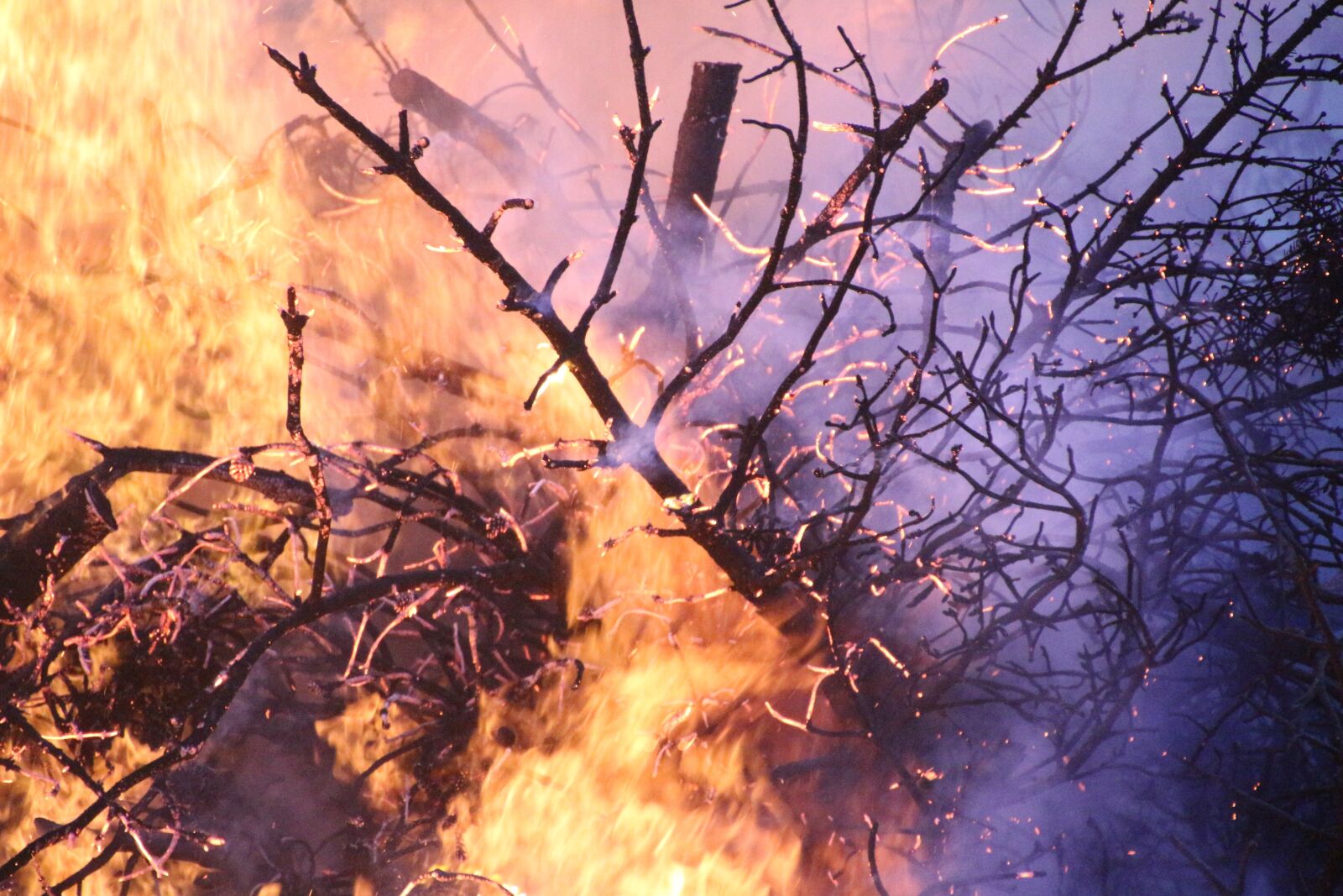 Canon EOS 650D (EOS Rebel T4i / EOS Kiss X6i) sample photo. Forest fire, fire, beach photography