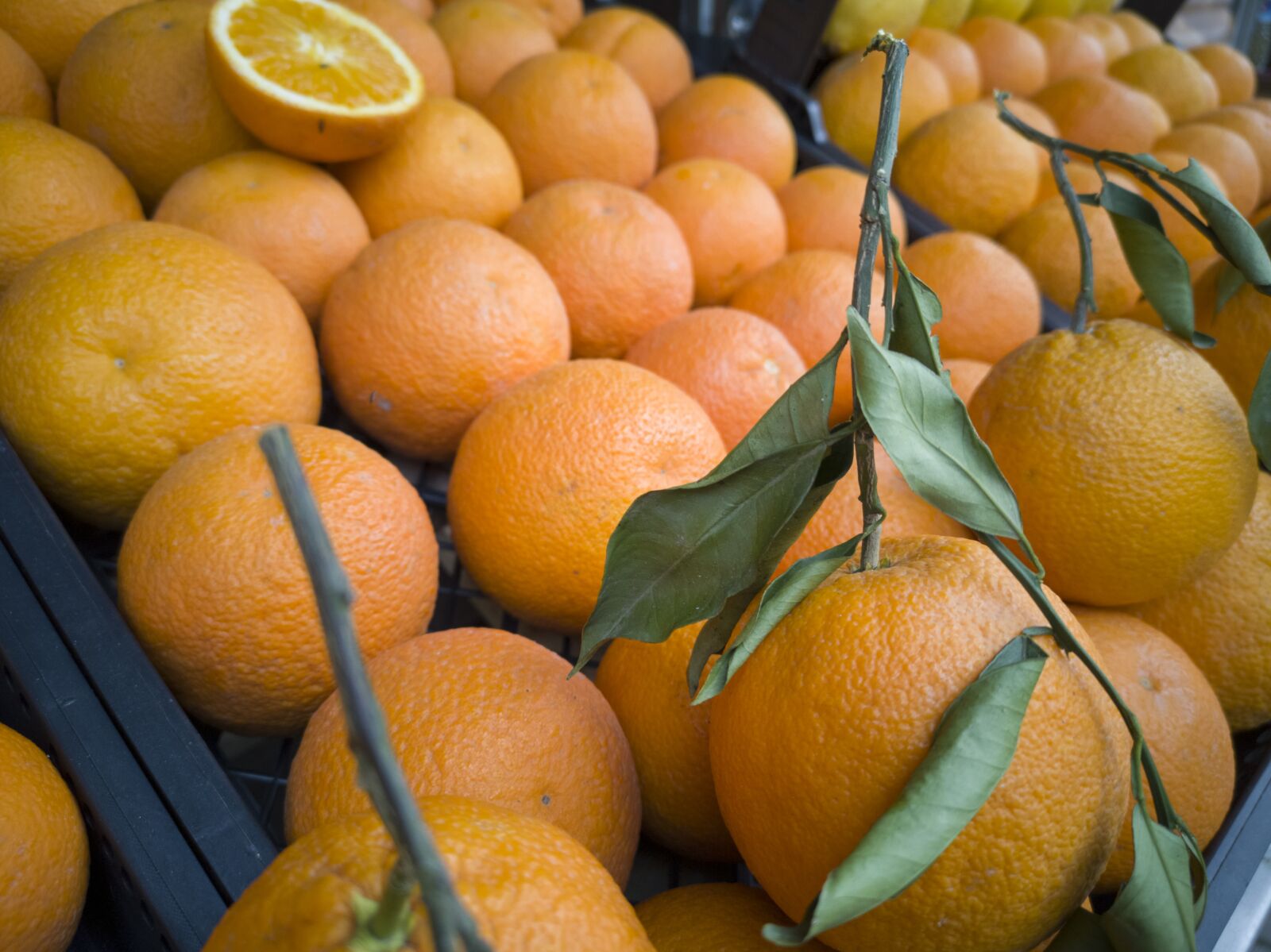 HUAWEI CLT-L09 sample photo. Orange, fruit, food photography