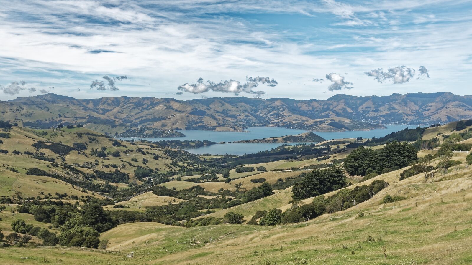 Nikon D500 sample photo. New zealand, banks peninsula photography