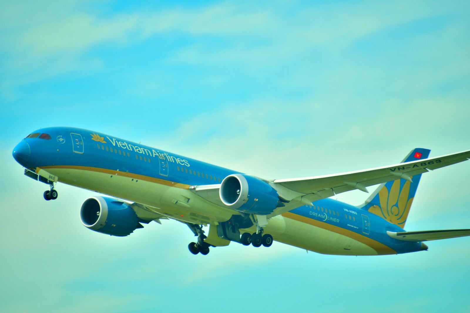 Nikon D7500 sample photo. Big airplane, beautiful plane photography