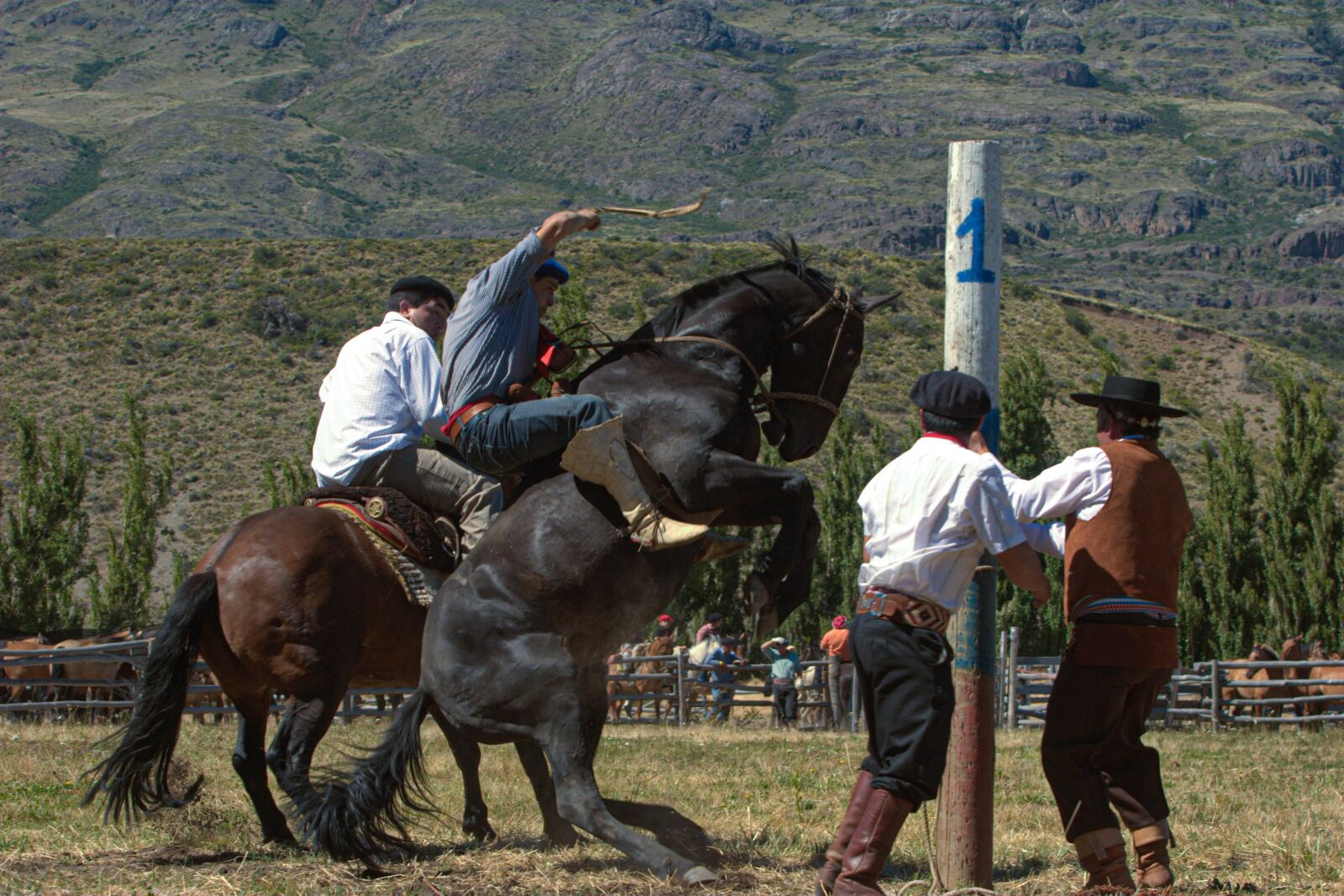 Canon EOS 20D sample photo. Gaucho, chile, aysen photography