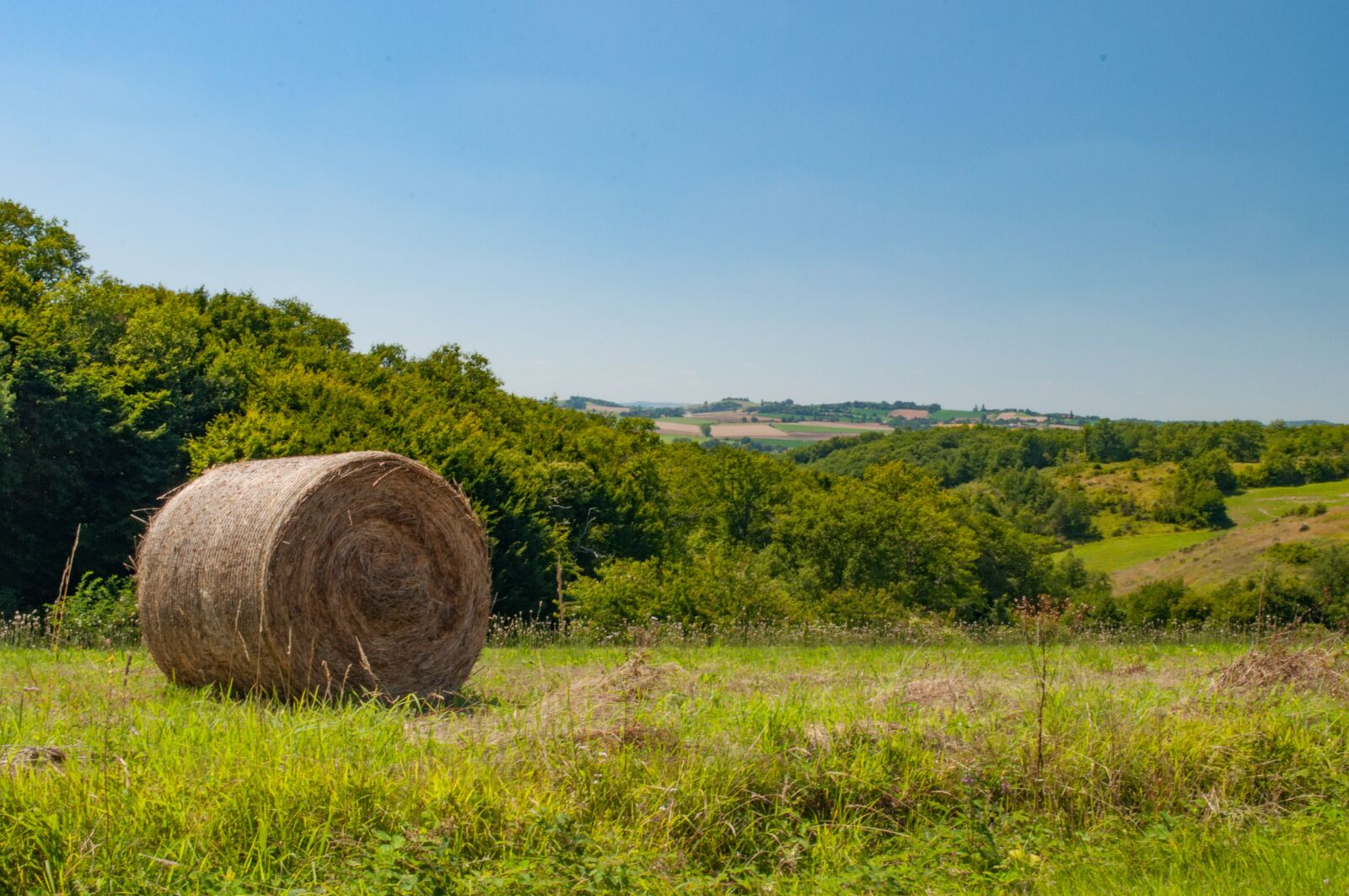 Nikon D5000 sample photo. Summer, harvest, straw photography
