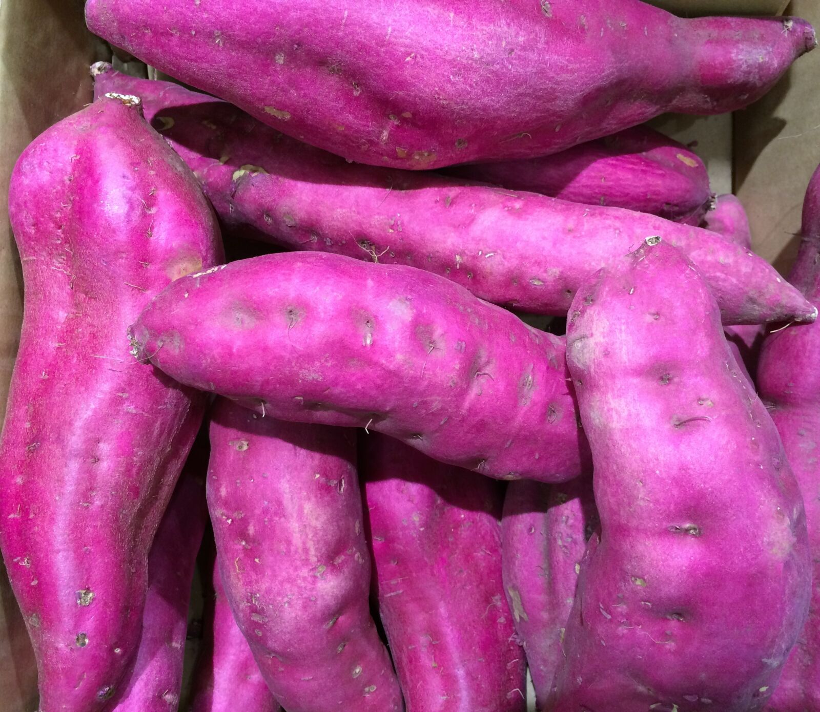iPhone 5s back camera 4.15mm f/2.2 sample photo. Sweet potato, purple, seiyu photography