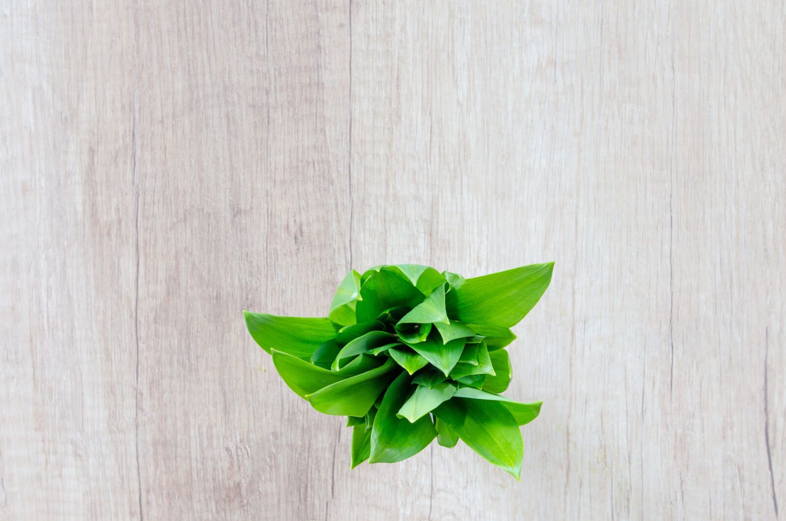 Nikon D5100 sample photo. Wood, table, herb photography