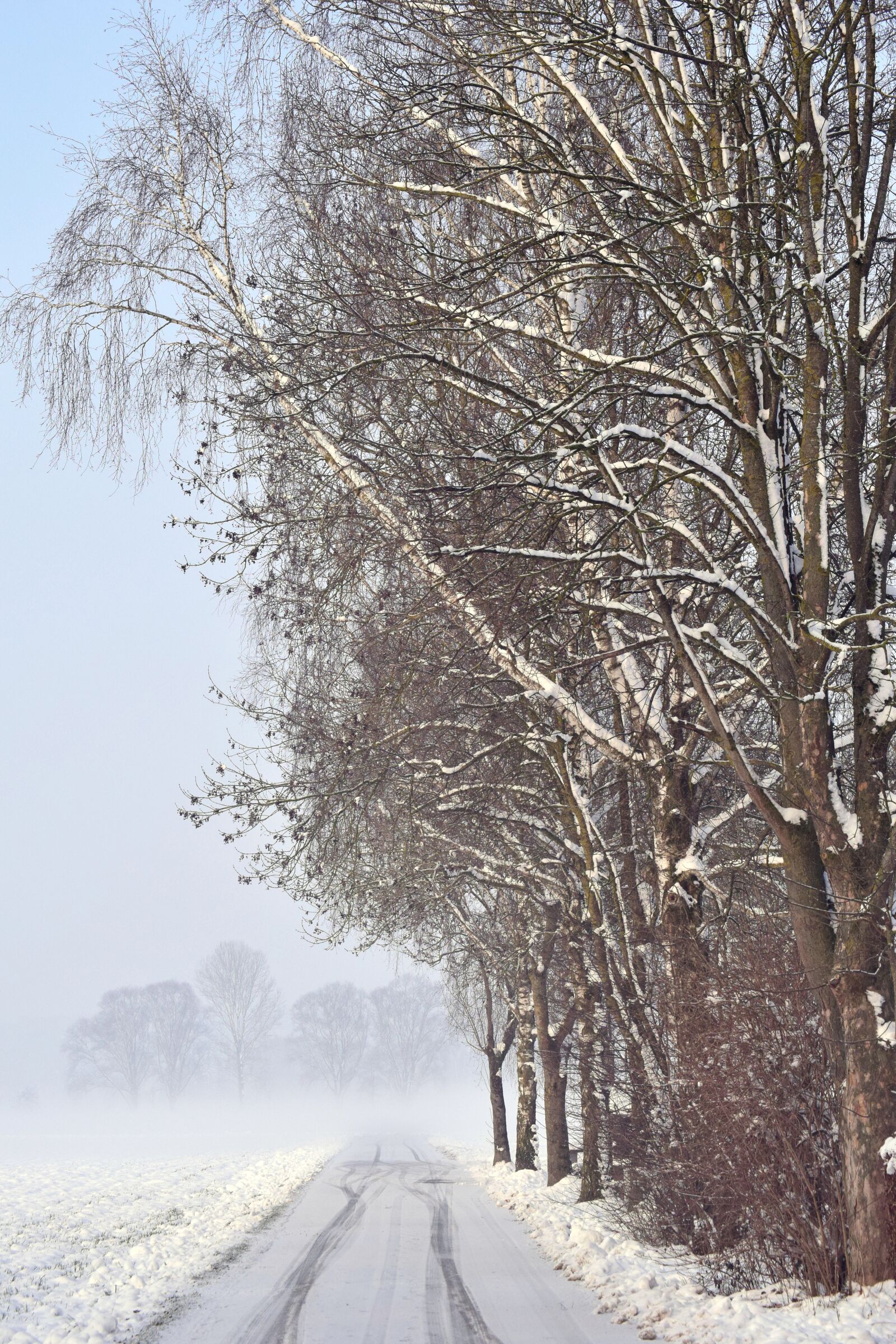 Nikon D3300 sample photo. Snow, winter, frost photography