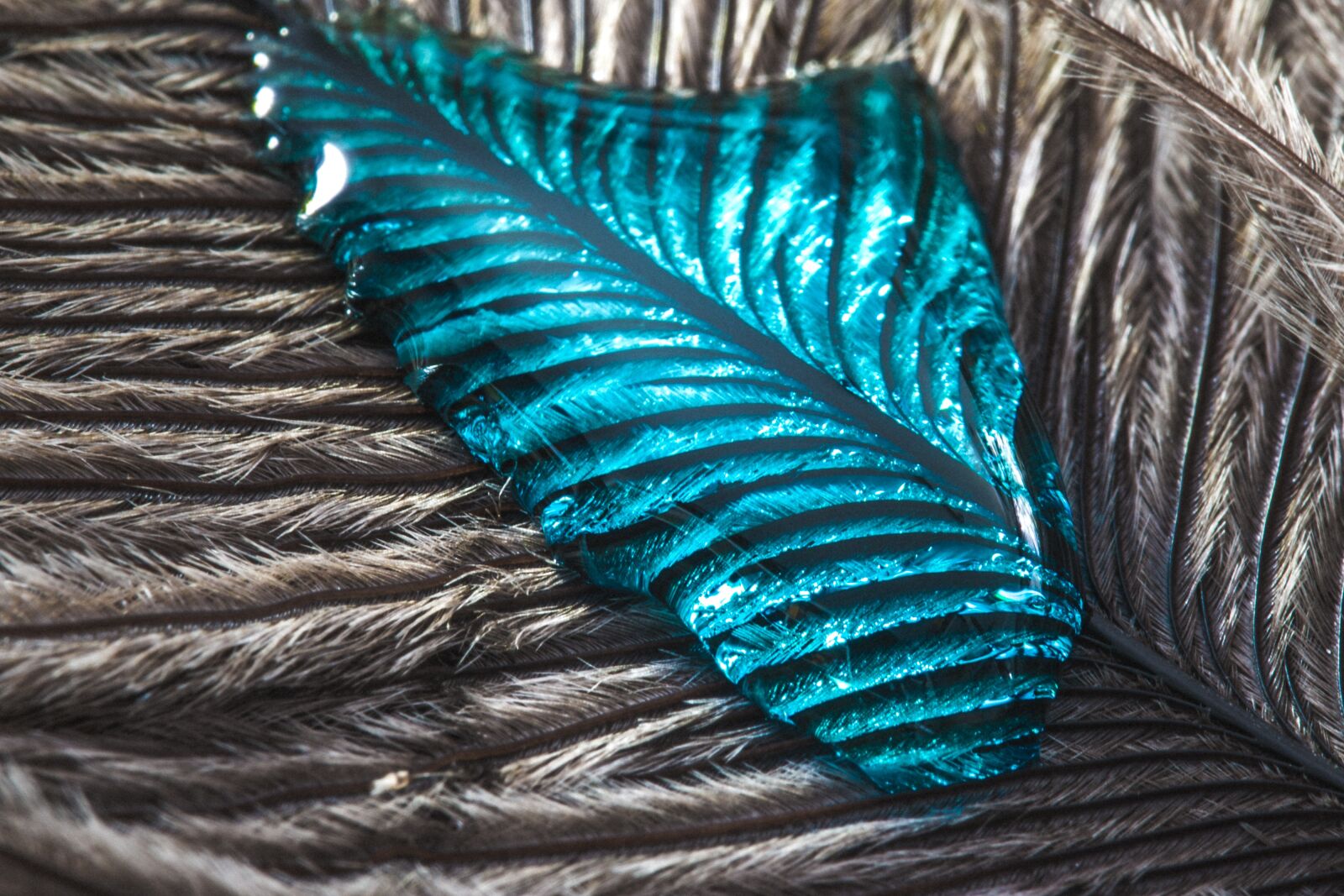 Canon EOS 70D sample photo. Ostrich feather, drip, feather photography
