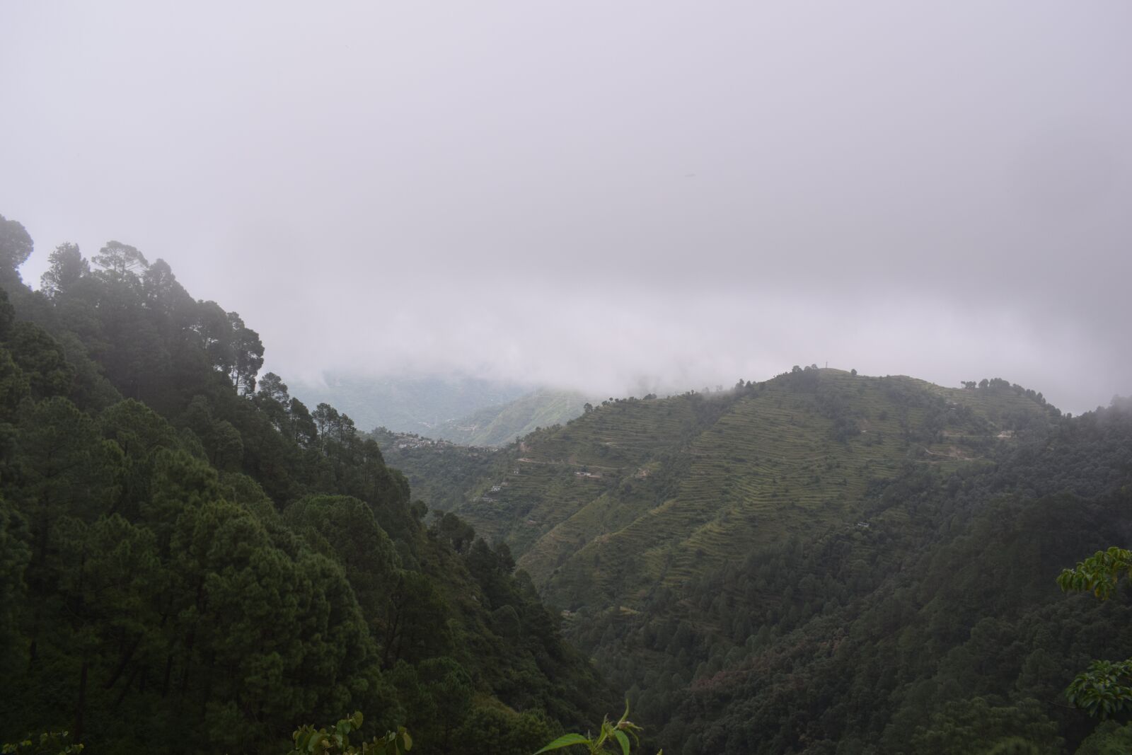 Nikon D5300 sample photo. Valley of flowers, mountains photography