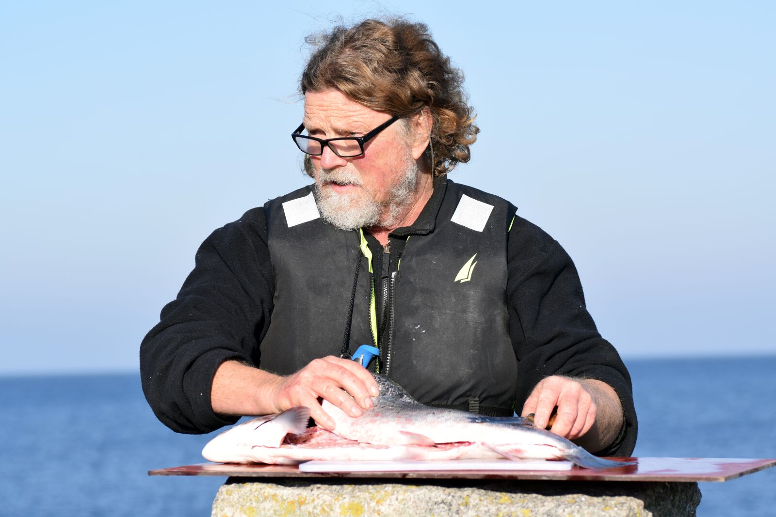 Nikon D5300 sample photo. Salmon, clear salmon, trout photography