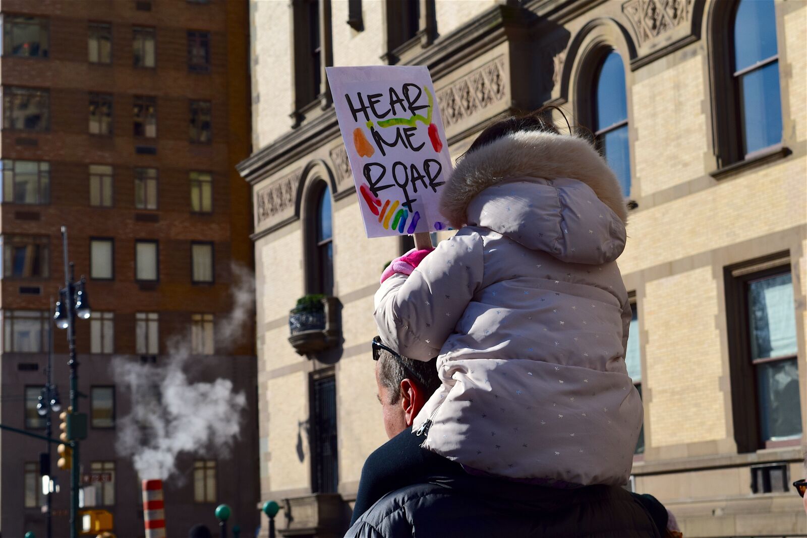 Nikon D3300 sample photo. March, protest, sign photography