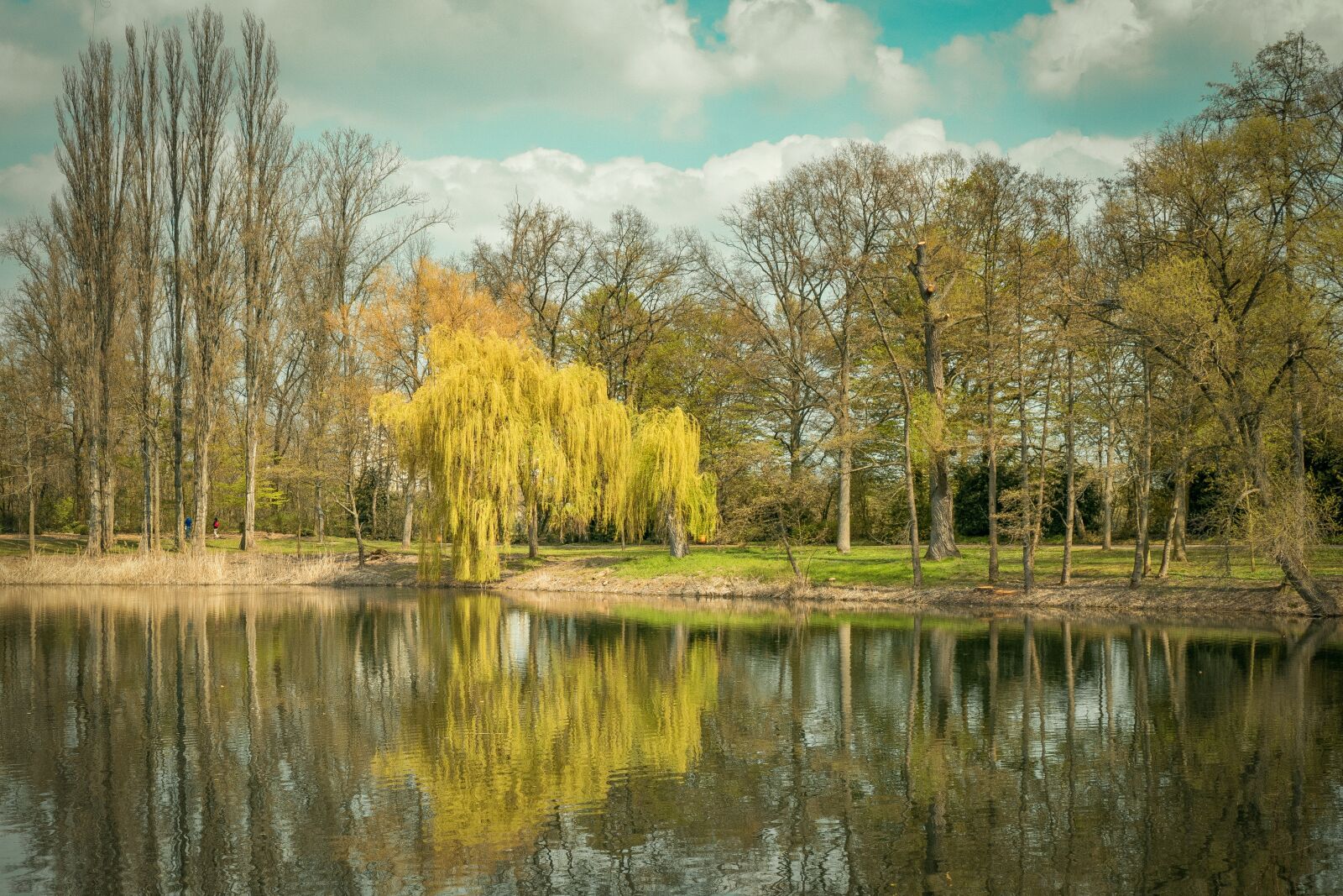 Panasonic Lumix DMC-GX7 sample photo. Lake, pond, trees photography