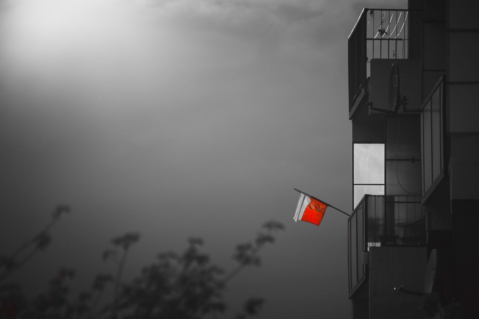Canon EOS 6D sample photo. Polish flag, flag, symbol photography