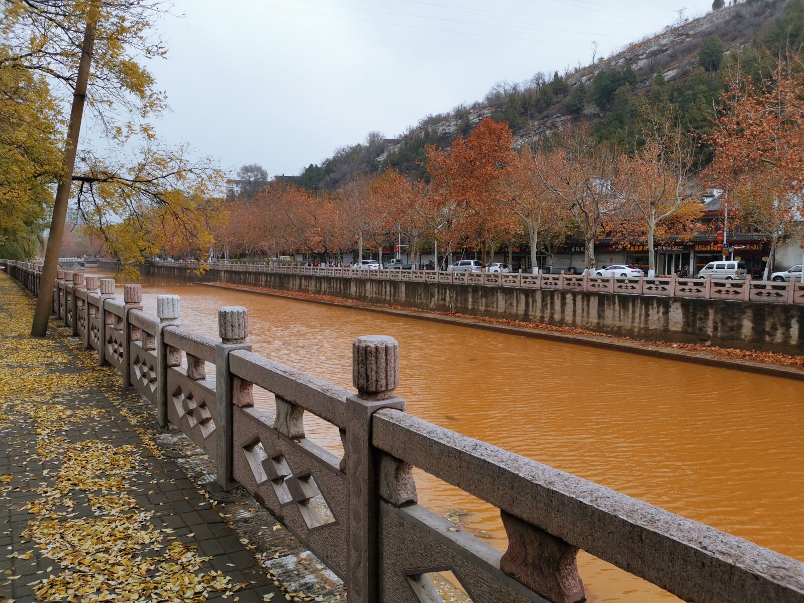 HUAWEI Mate 20 Pro sample photo. Winter, water, leaves photography