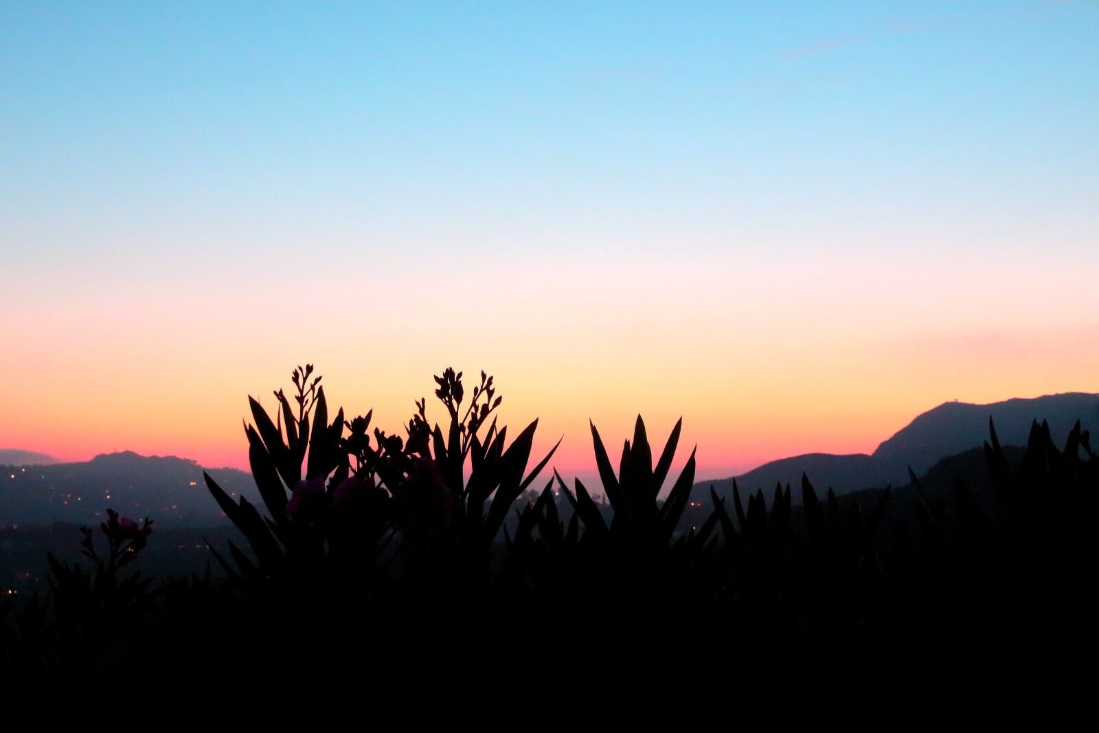 Canon EOS 700D (EOS Rebel T5i / EOS Kiss X7i) sample photo. Glow, griffith observatory, flowers photography