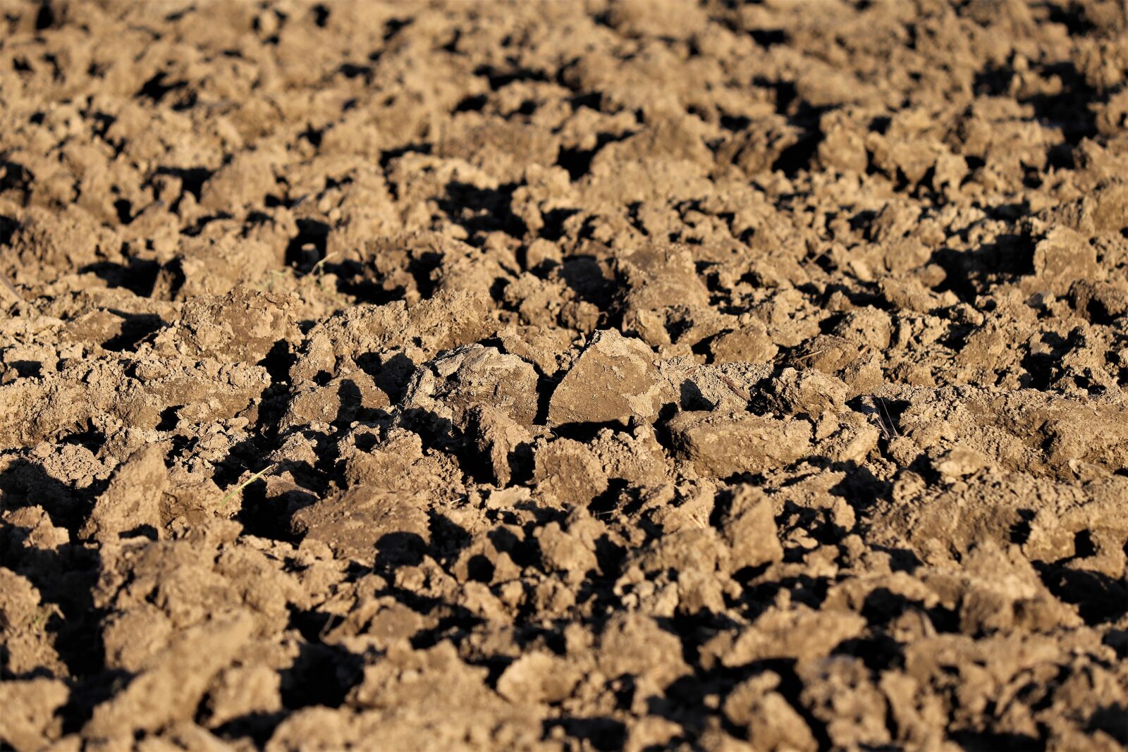 Canon EOS 6D sample photo. Plowed earth, soil, brown photography