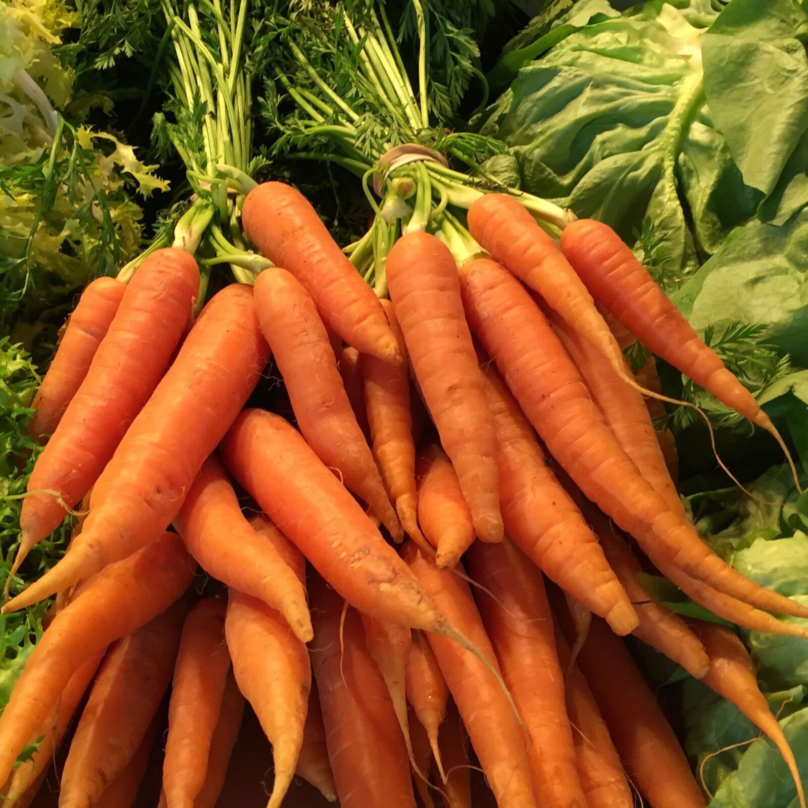 iPhone 6 back camera 4.15mm f/2.2 sample photo. Carrotts, fresh, vegetable photography