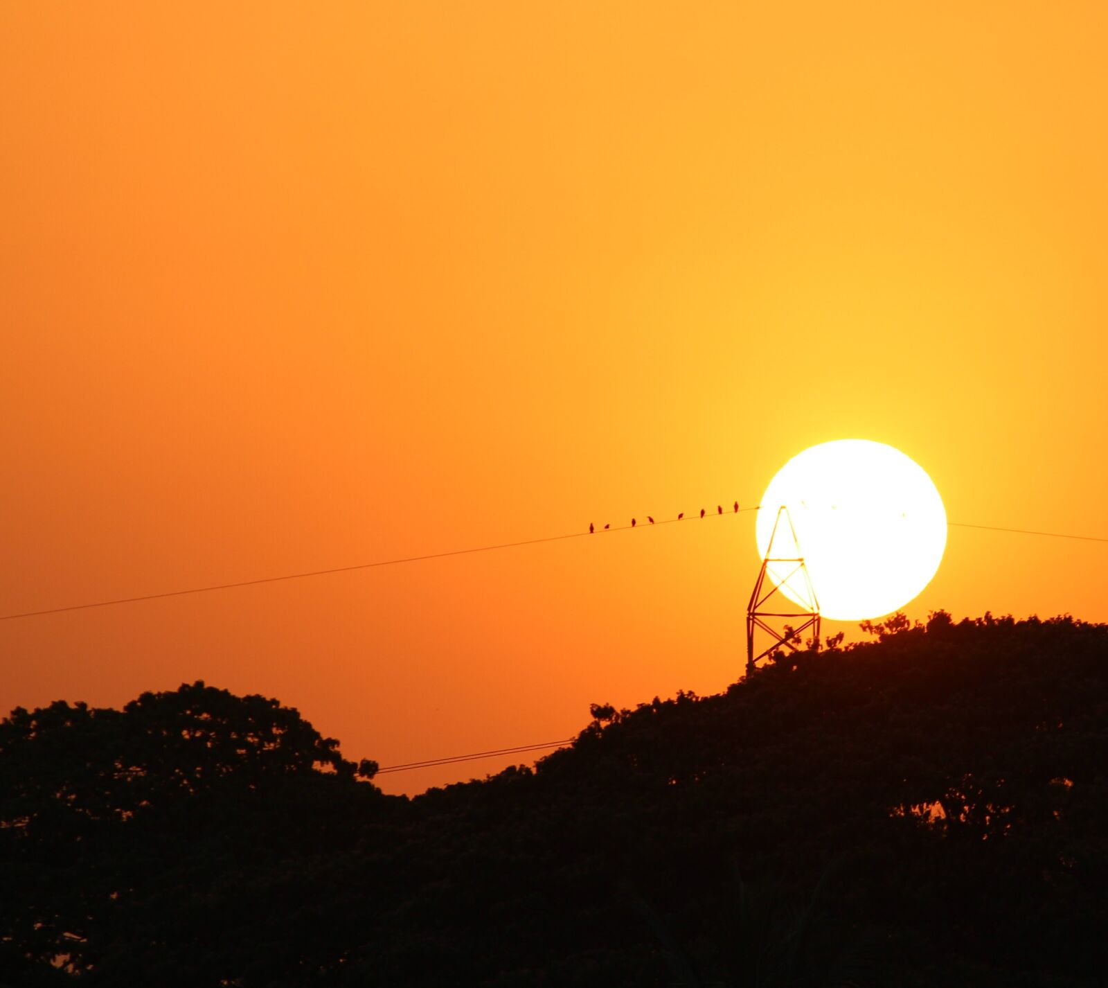 Canon EOS 1300D (EOS Rebel T6 / EOS Kiss X80) sample photo. Birds, are, enjoying, sunset photography