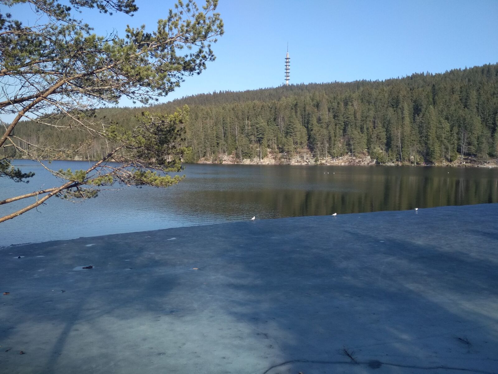 Xiaomi Redmi 4X sample photo. Norway, oslo, steinbruvann photography
